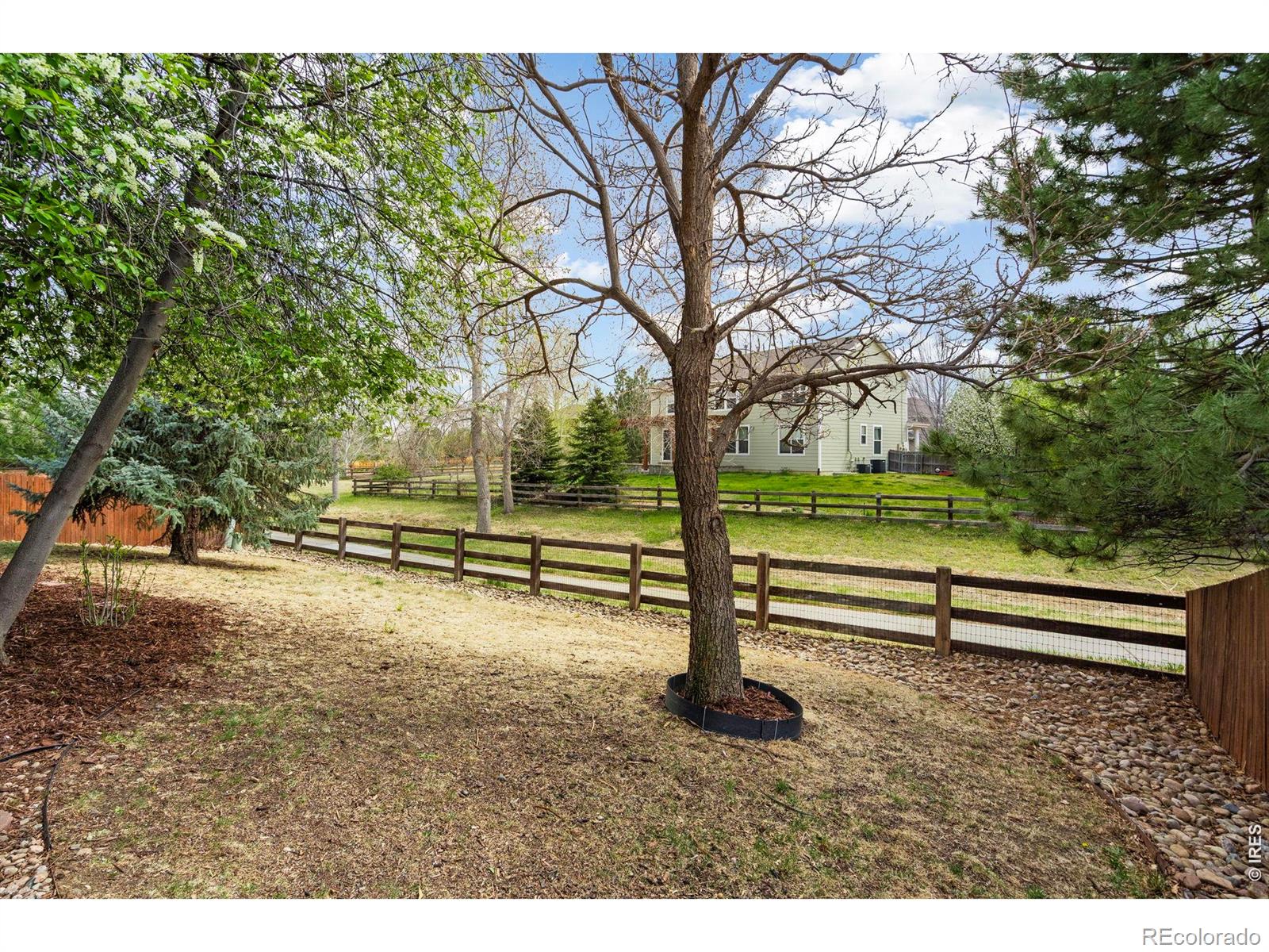 MLS Image #24 for 6969  rosemont court,fort collins, Colorado