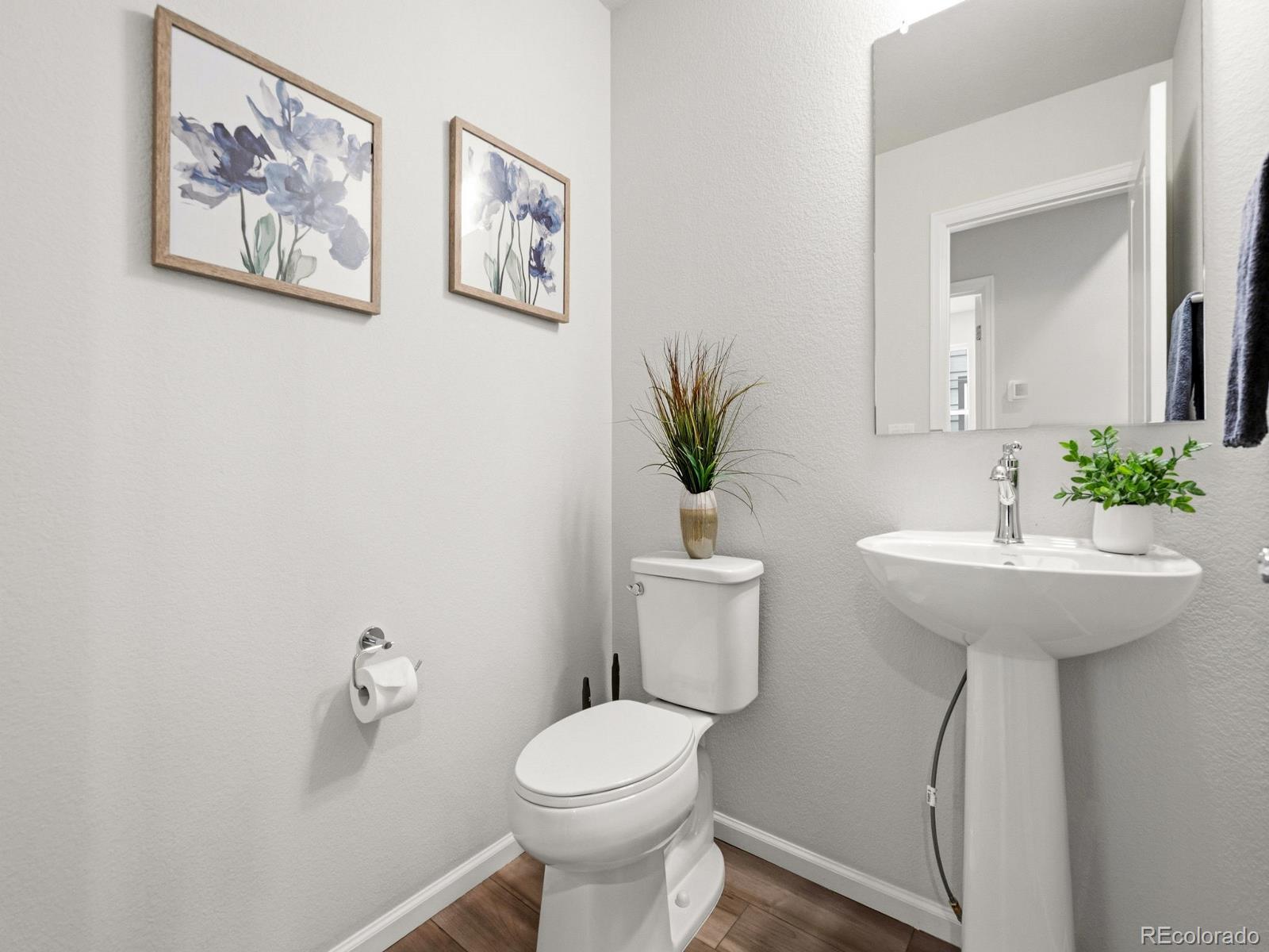 MLS Image #12 for 7336  watercress drive,littleton, Colorado