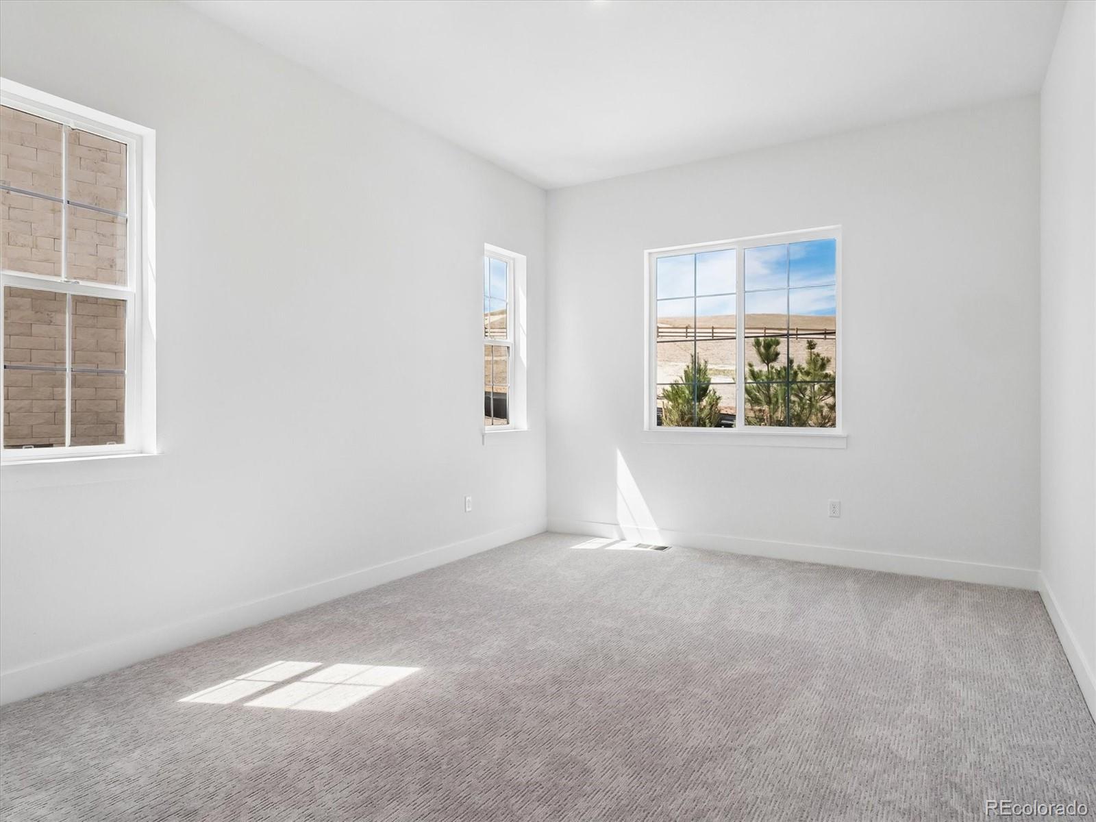 MLS Image #11 for 1289  oleander street,castle rock, Colorado