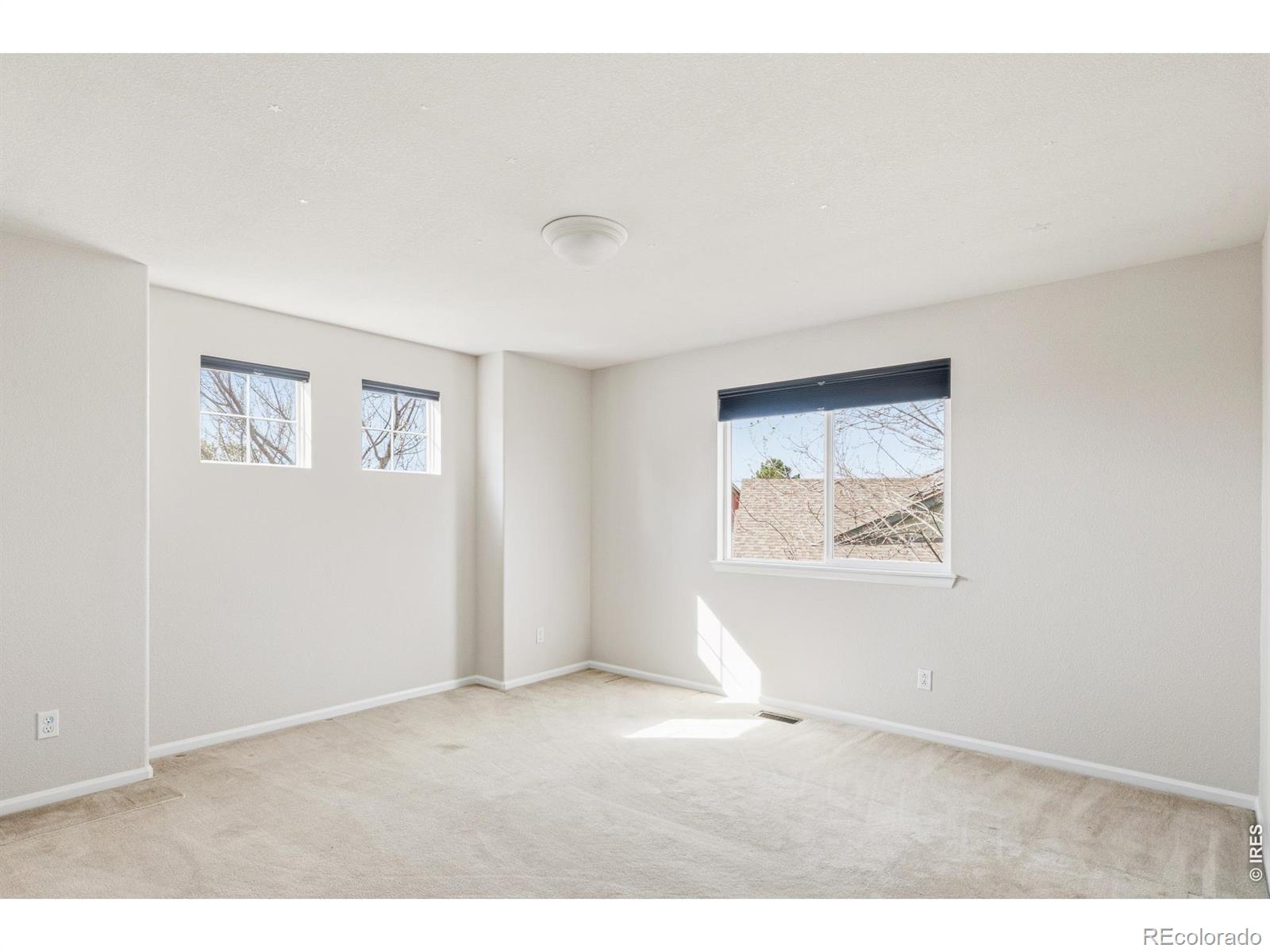 MLS Image #28 for 2281  cottonwood place,erie, Colorado