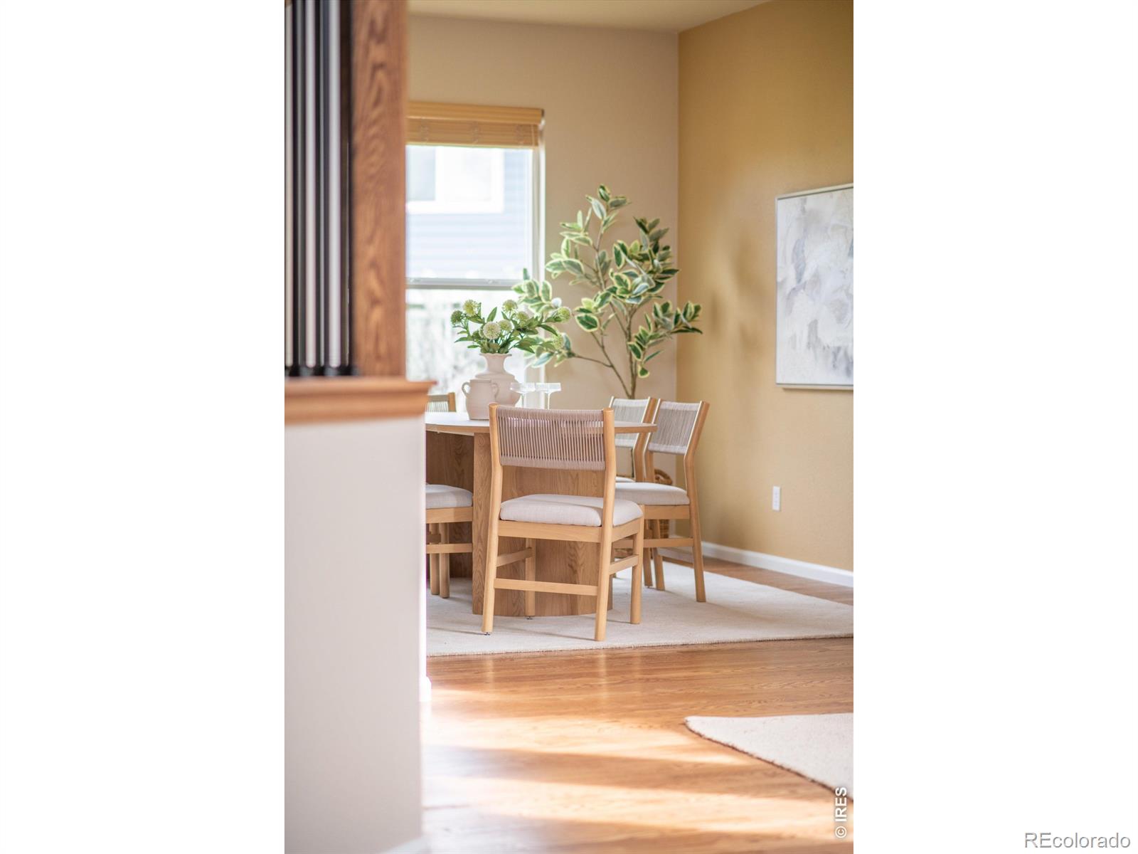 MLS Image #6 for 2281  cottonwood place,erie, Colorado