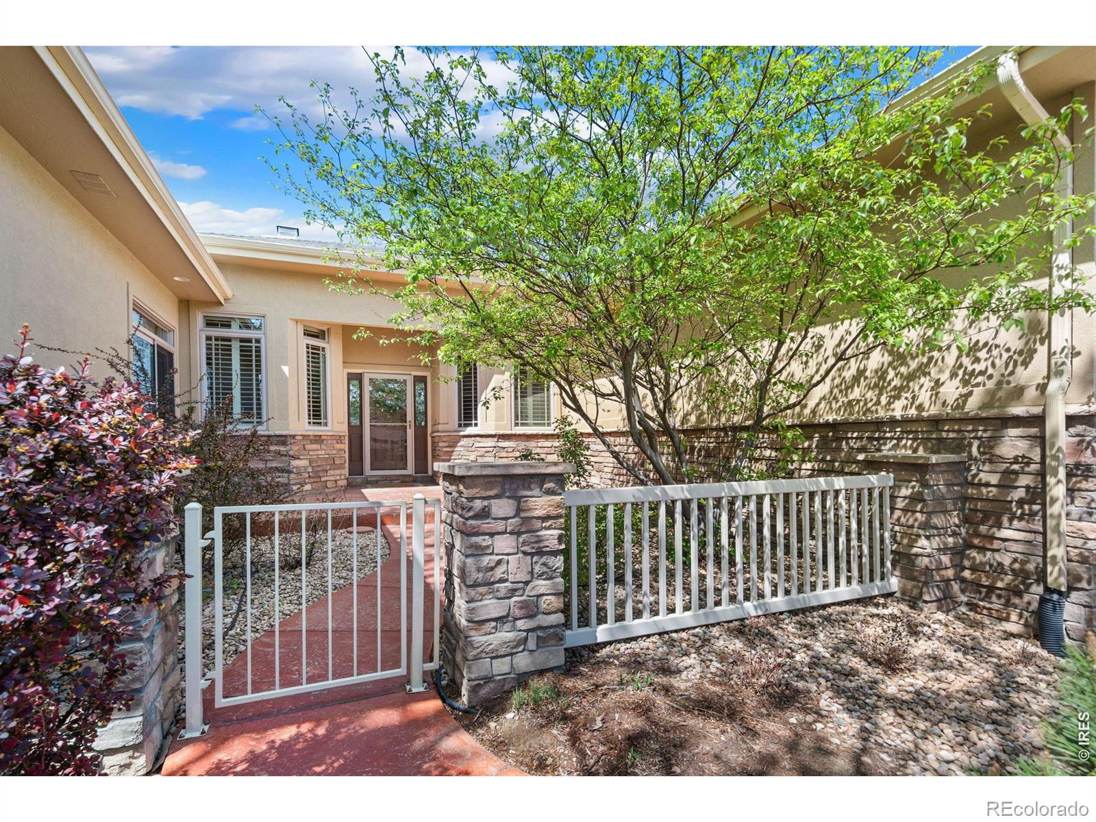 MLS Image #2 for 6535  half moon bay drive,windsor, Colorado