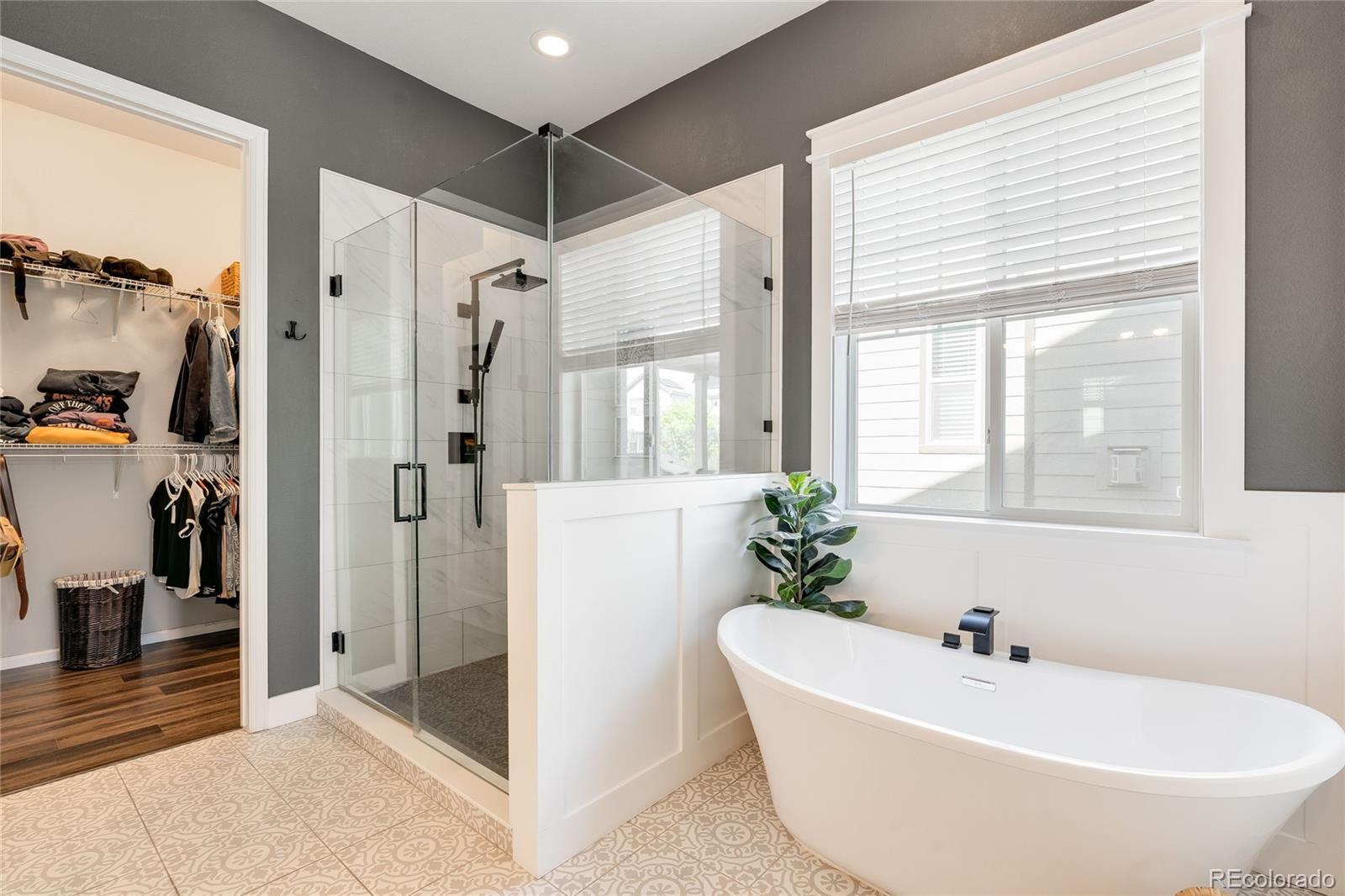MLS Image #20 for 8477  arapahoe peak street,littleton, Colorado