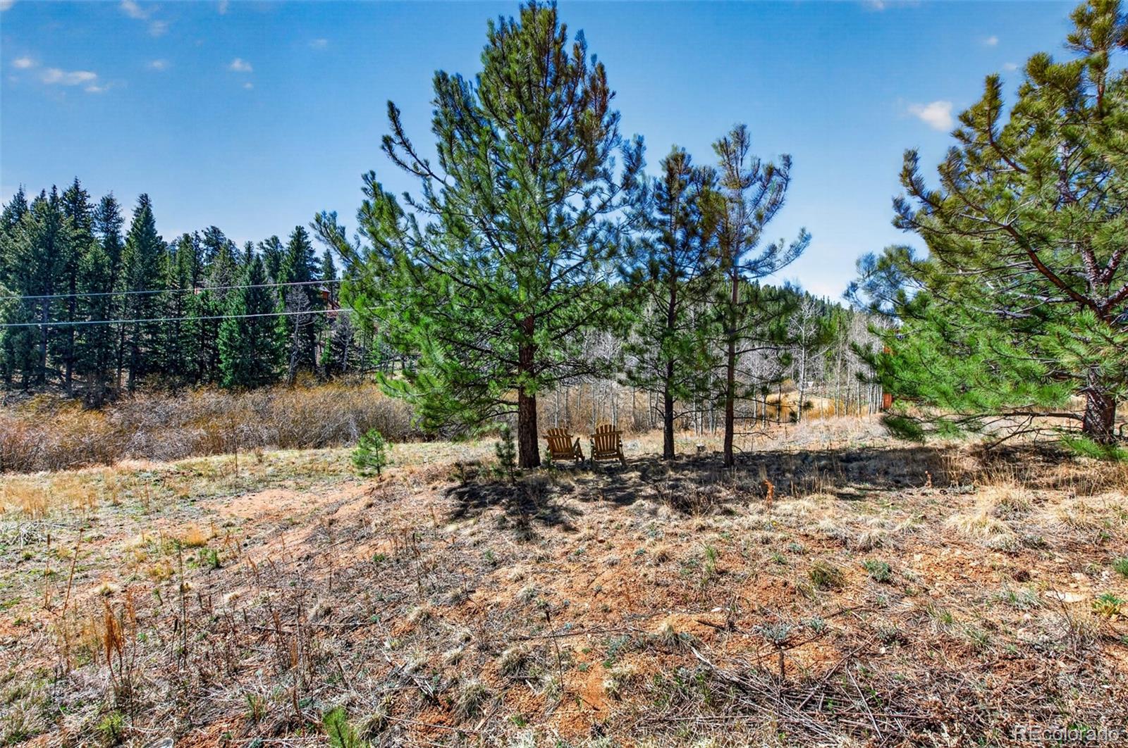 MLS Image #32 for 1328  clark road,bailey, Colorado