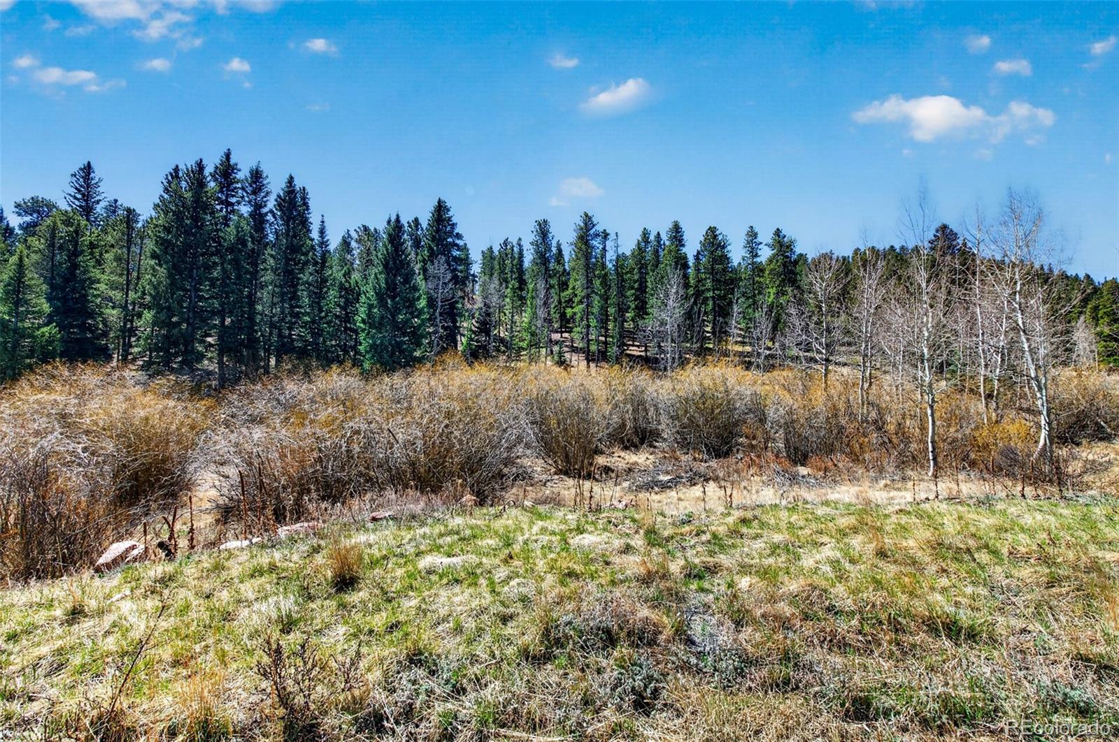 MLS Image #34 for 1328  clark road,bailey, Colorado