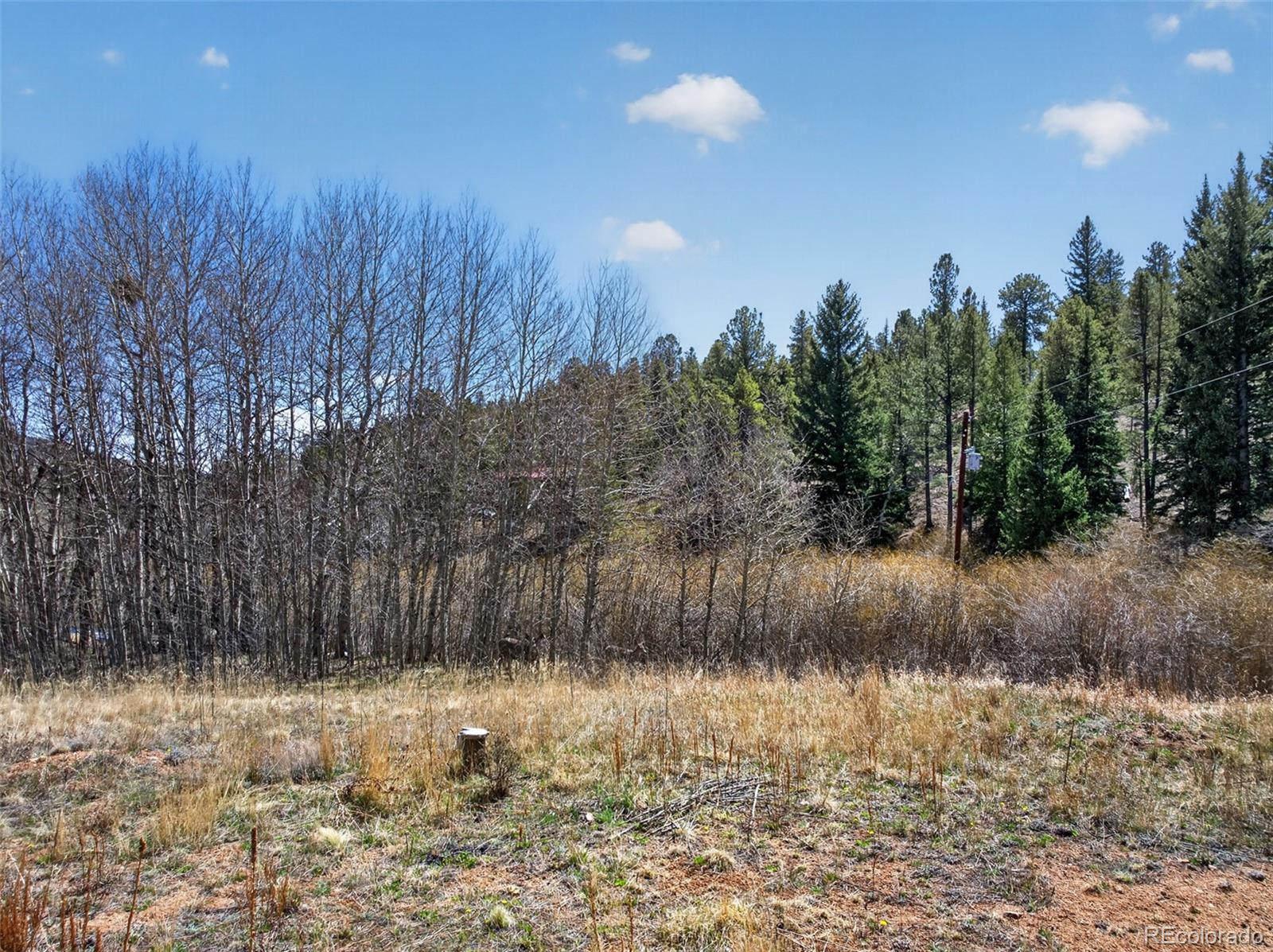 MLS Image #35 for 1328  clark road,bailey, Colorado