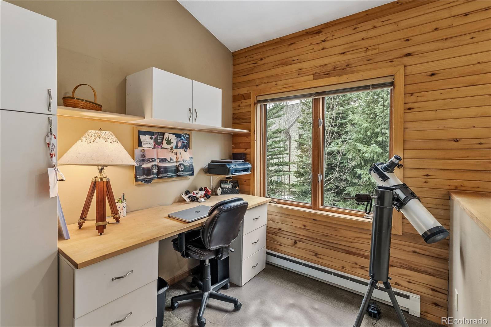 MLS Image #22 for 53  burgundy circle,silverthorne, Colorado