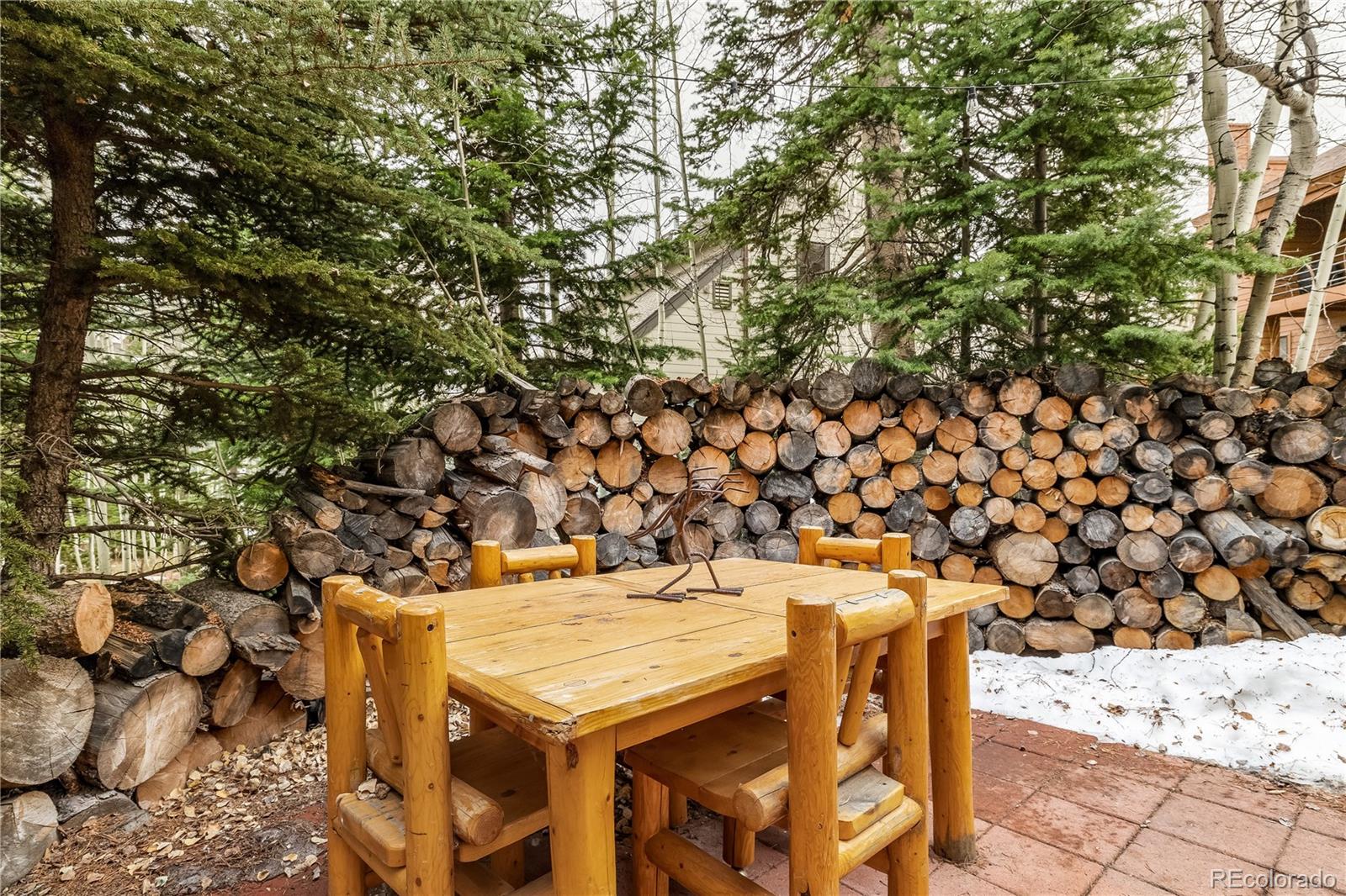 MLS Image #3 for 53  burgundy circle,silverthorne, Colorado