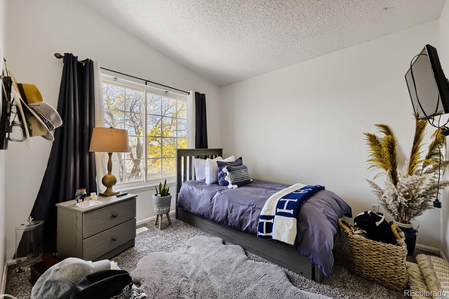 MLS Image #21 for 12704  forest street ,thornton, Colorado