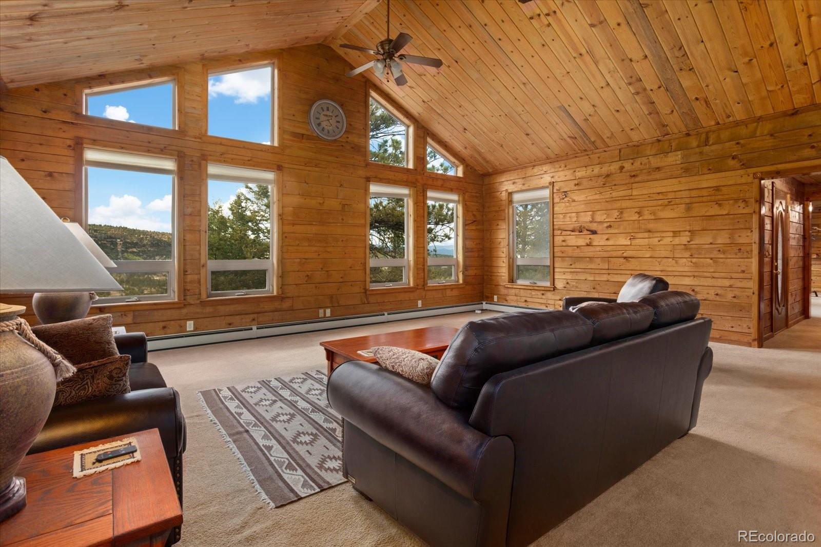 MLS Image #18 for 16382  falcon drive,nathrop, Colorado