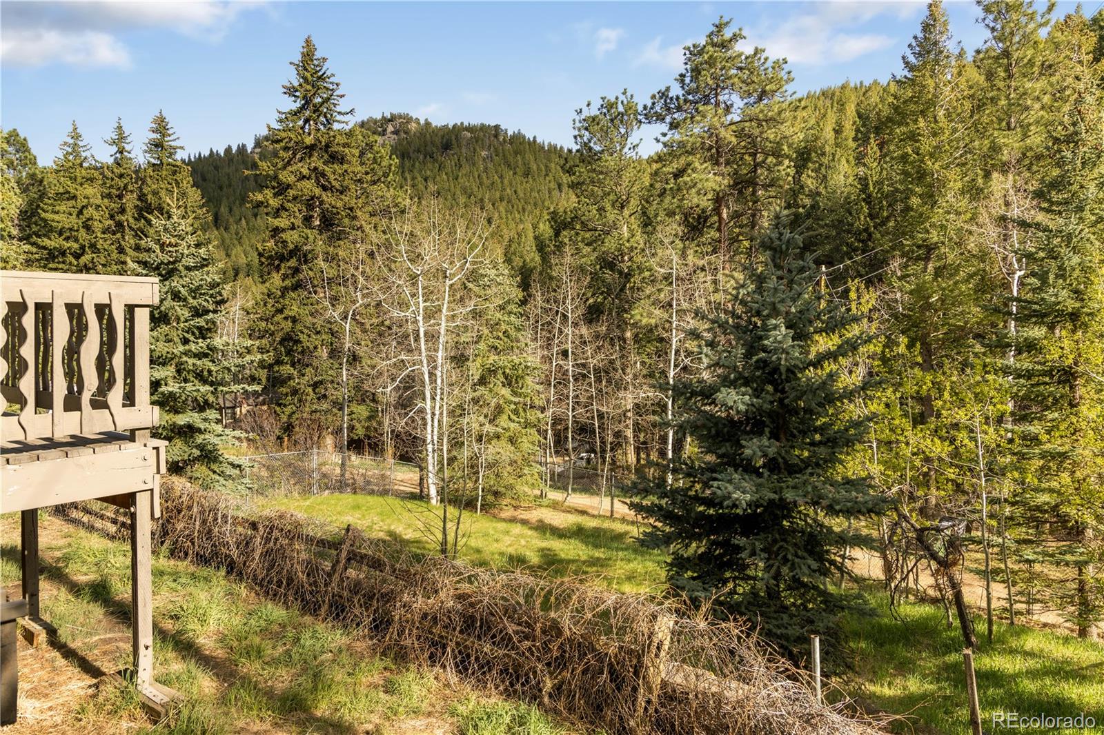 MLS Image #10 for 1264  beaver brook canyon road,evergreen, Colorado