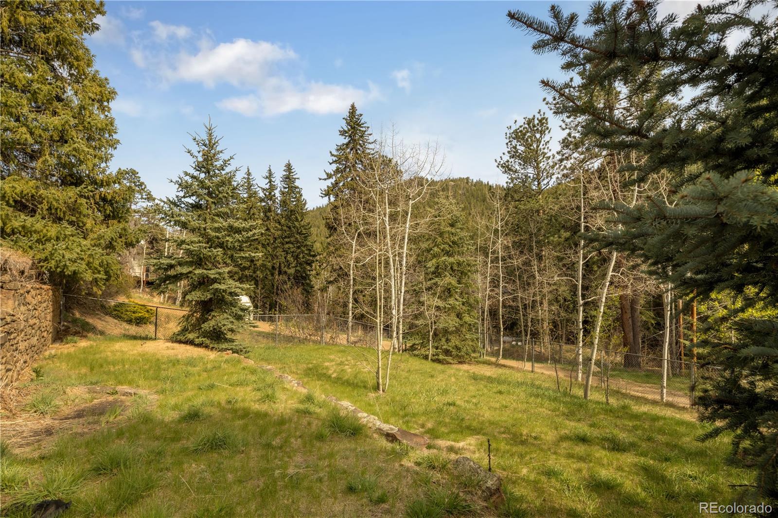 MLS Image #11 for 1264  beaver brook canyon road,evergreen, Colorado