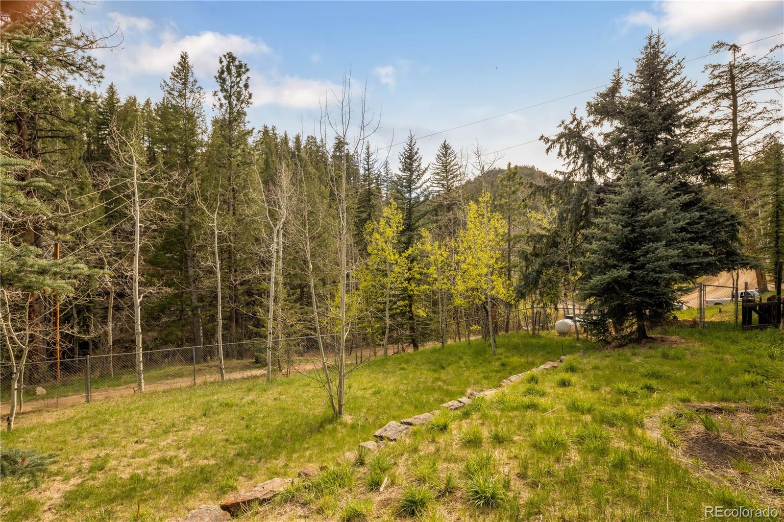 MLS Image #12 for 1264  beaver brook canyon road,evergreen, Colorado