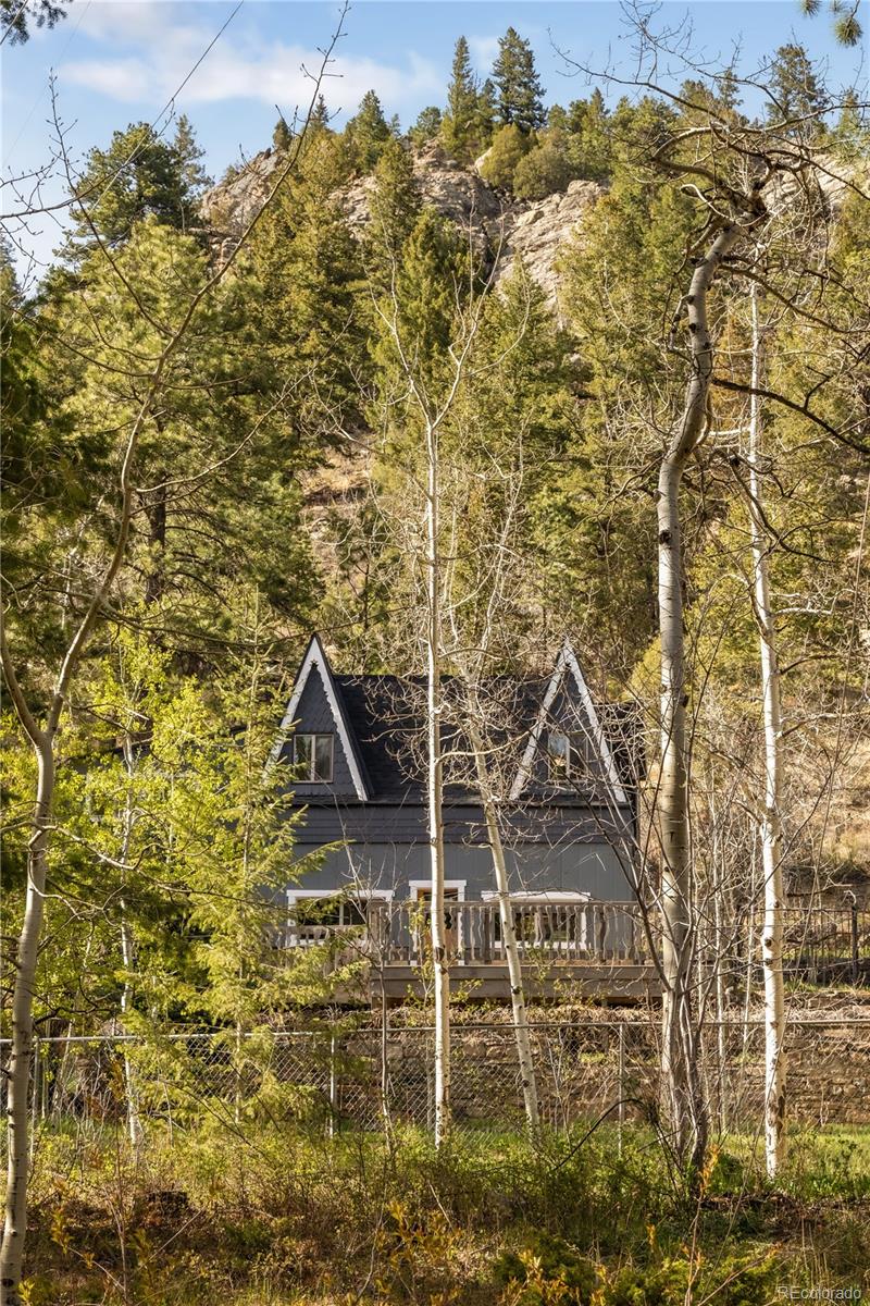 MLS Image #3 for 1264  beaver brook canyon road,evergreen, Colorado