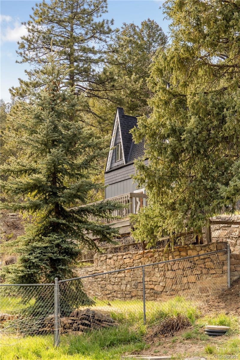 MLS Image #4 for 1264  beaver brook canyon road,evergreen, Colorado