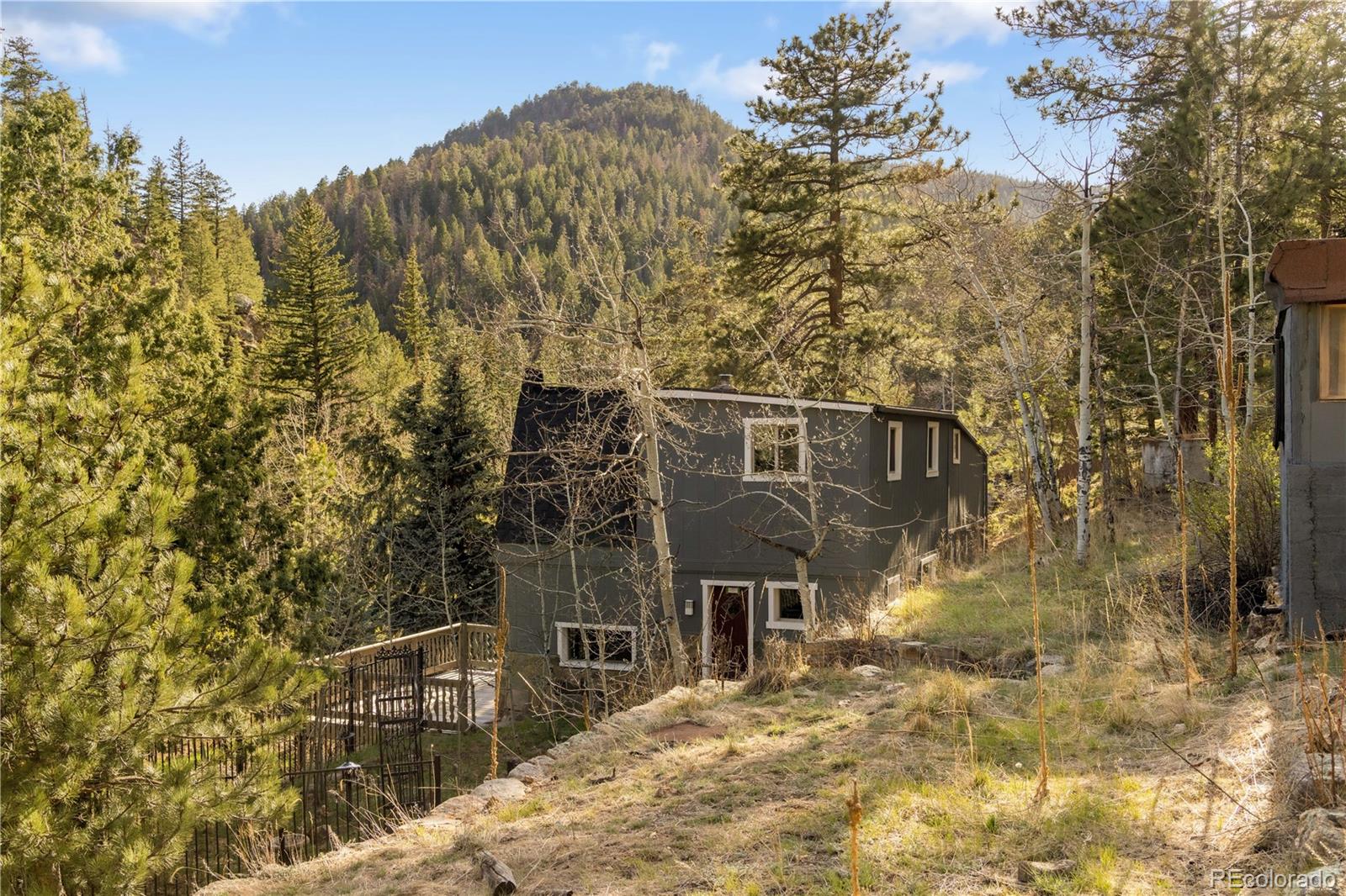 MLS Image #6 for 1264  beaver brook canyon road,evergreen, Colorado