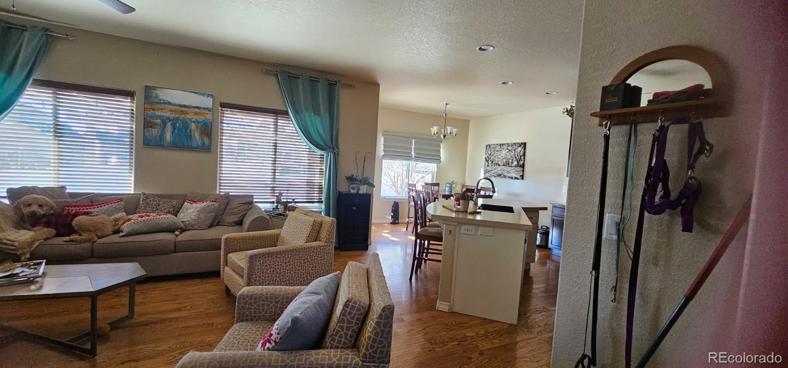 MLS Image #11 for 548  dakota way,windsor, Colorado