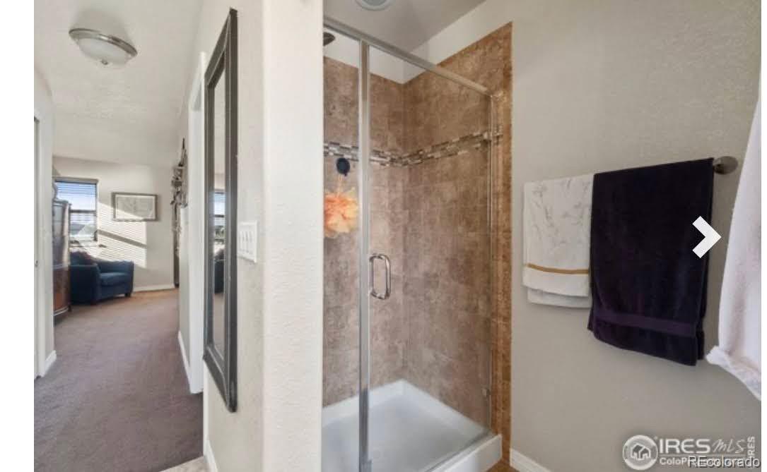 MLS Image #15 for 548  dakota way,windsor, Colorado