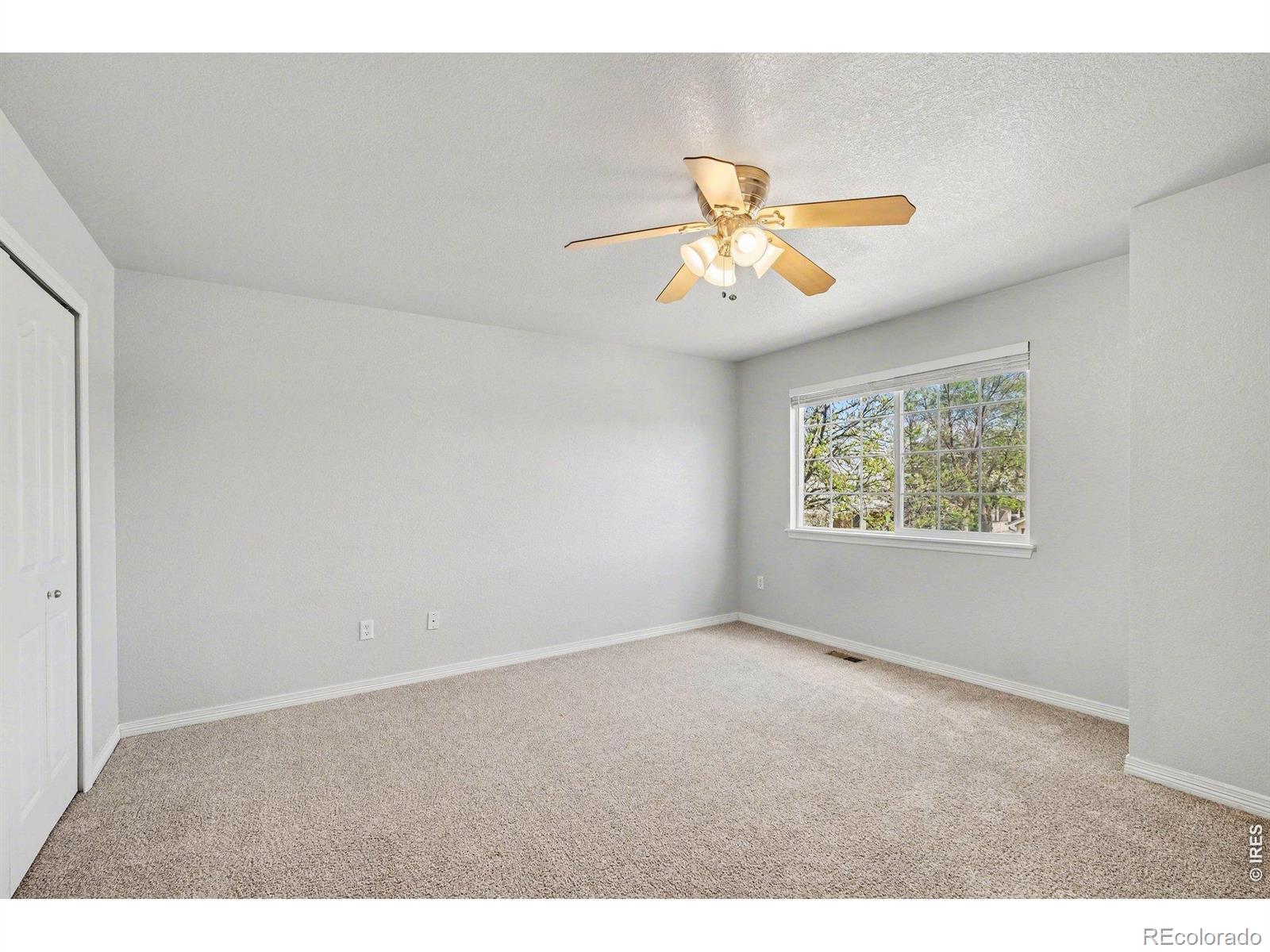 MLS Image #10 for 1015  andrews peak drive,fort collins, Colorado