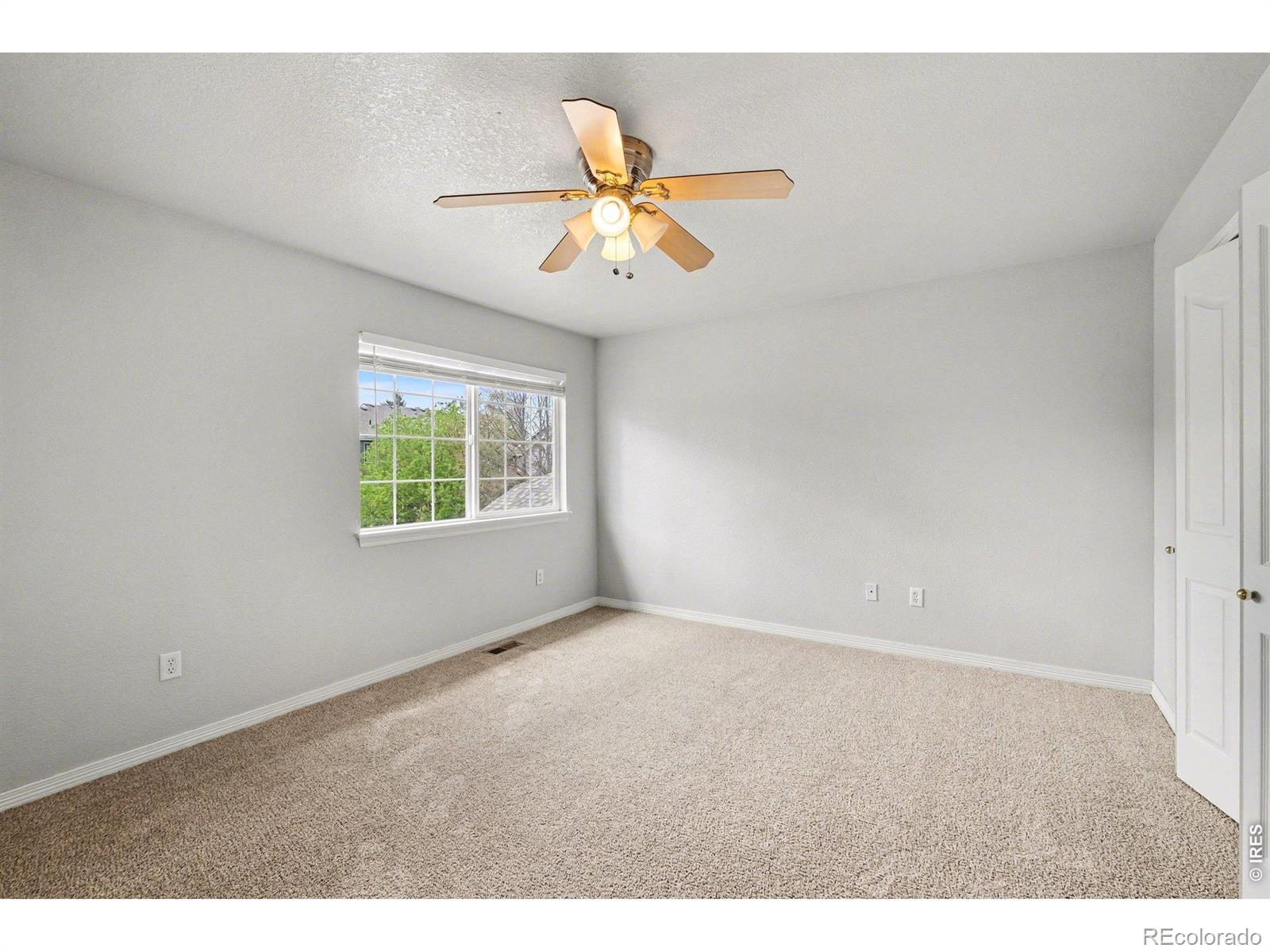 MLS Image #15 for 1015  andrews peak drive,fort collins, Colorado