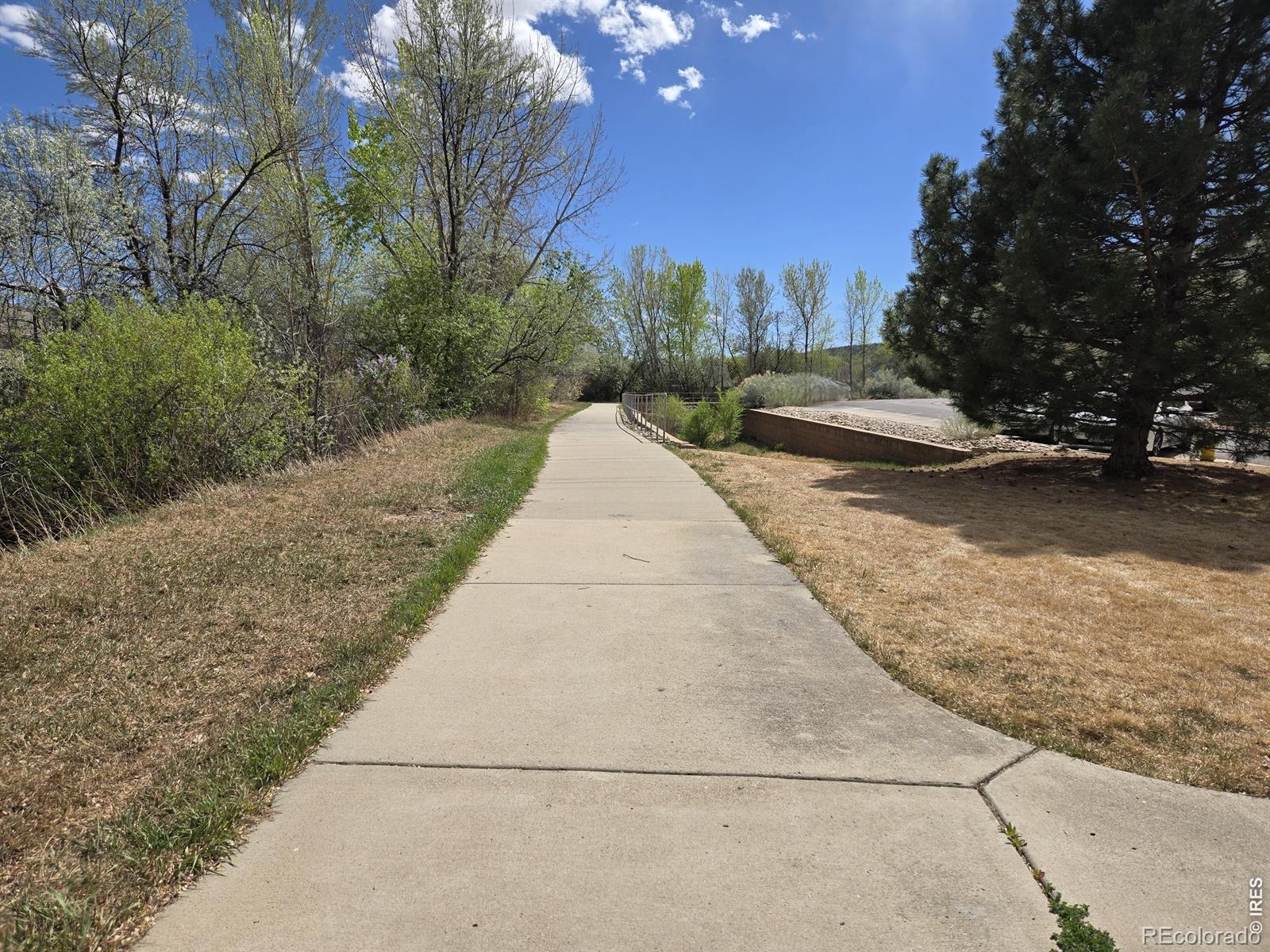 MLS Image #24 for 1015  andrews peak drive,fort collins, Colorado