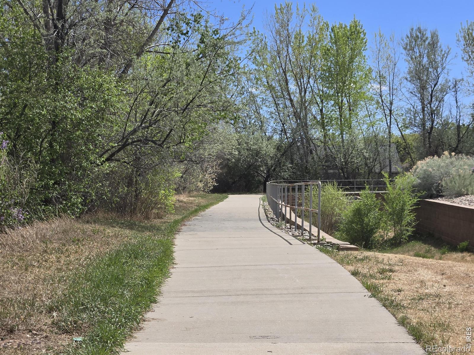 MLS Image #25 for 1015  andrews peak drive,fort collins, Colorado