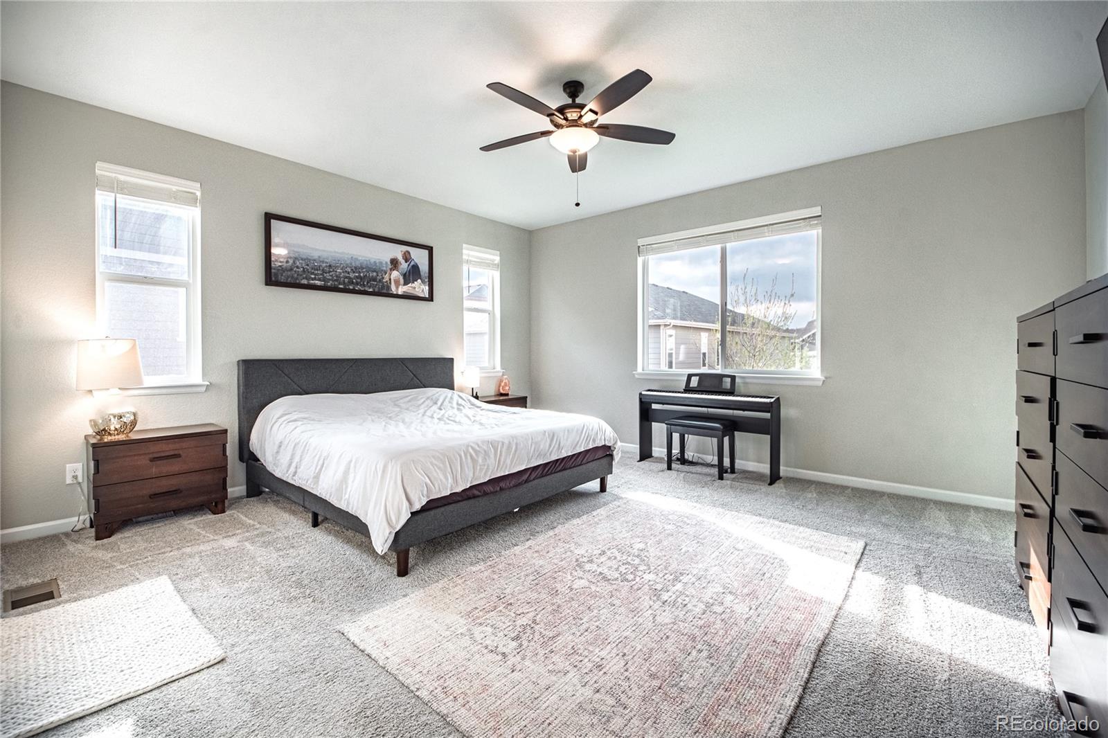 MLS Image #13 for 7408  greenwater circle,castle rock, Colorado