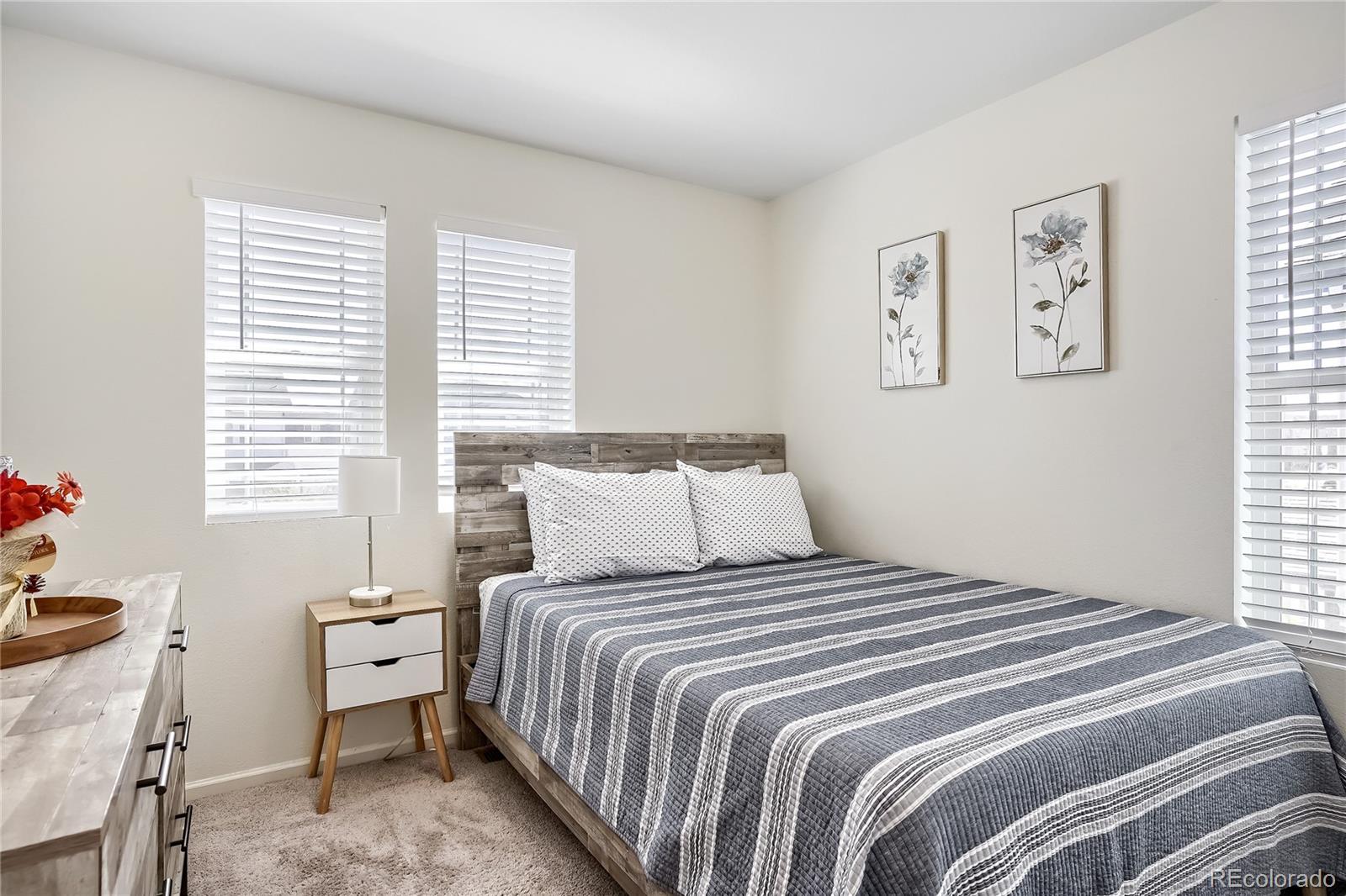 MLS Image #15 for 6211 n malaya street,aurora, Colorado