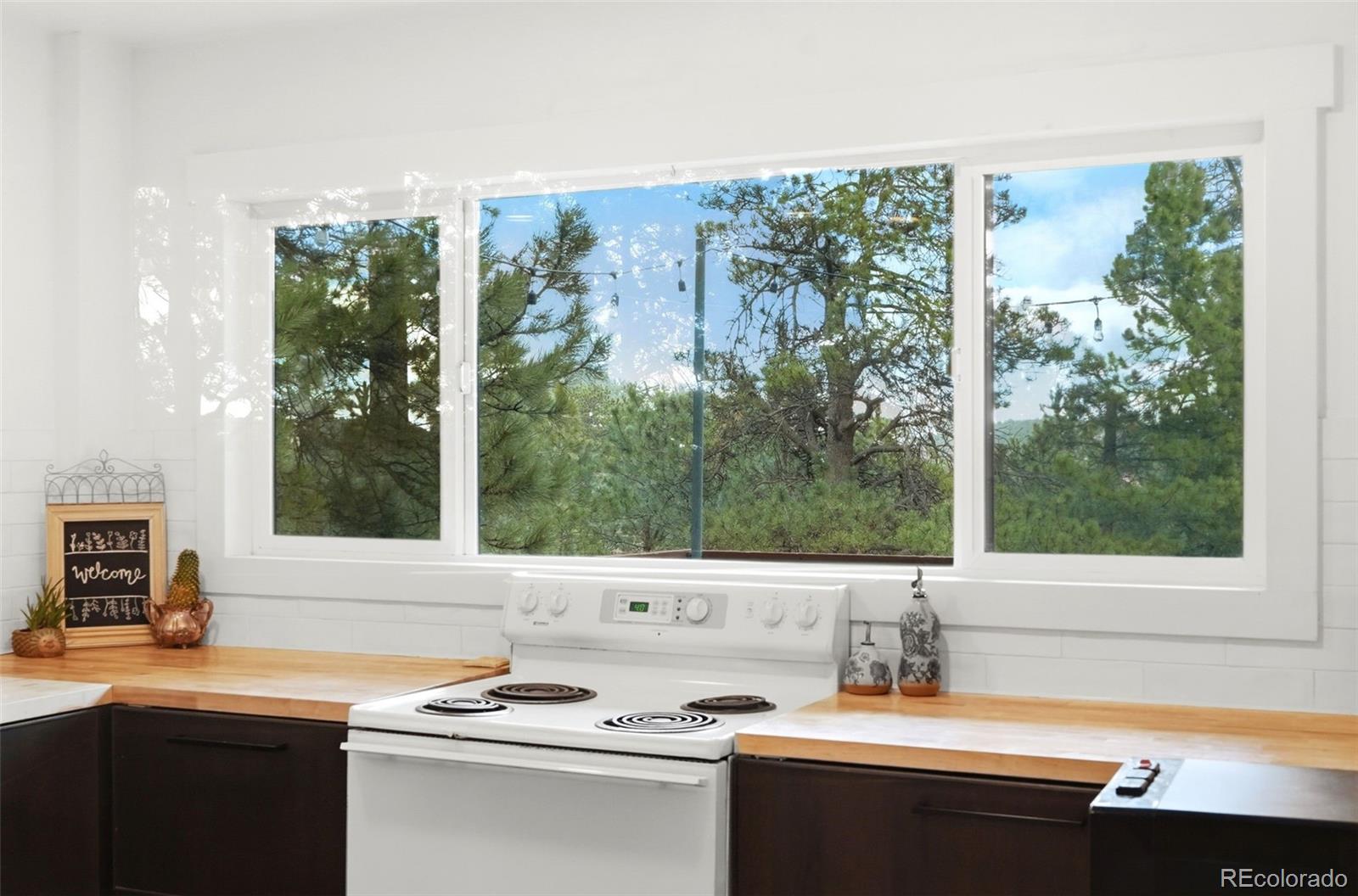 MLS Image #16 for 7106  julie lane,evergreen, Colorado
