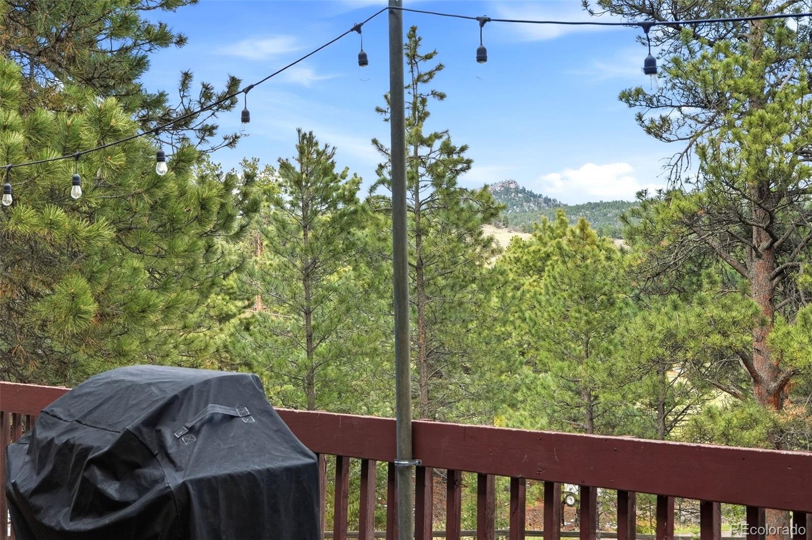 MLS Image #43 for 7106  julie lane,evergreen, Colorado