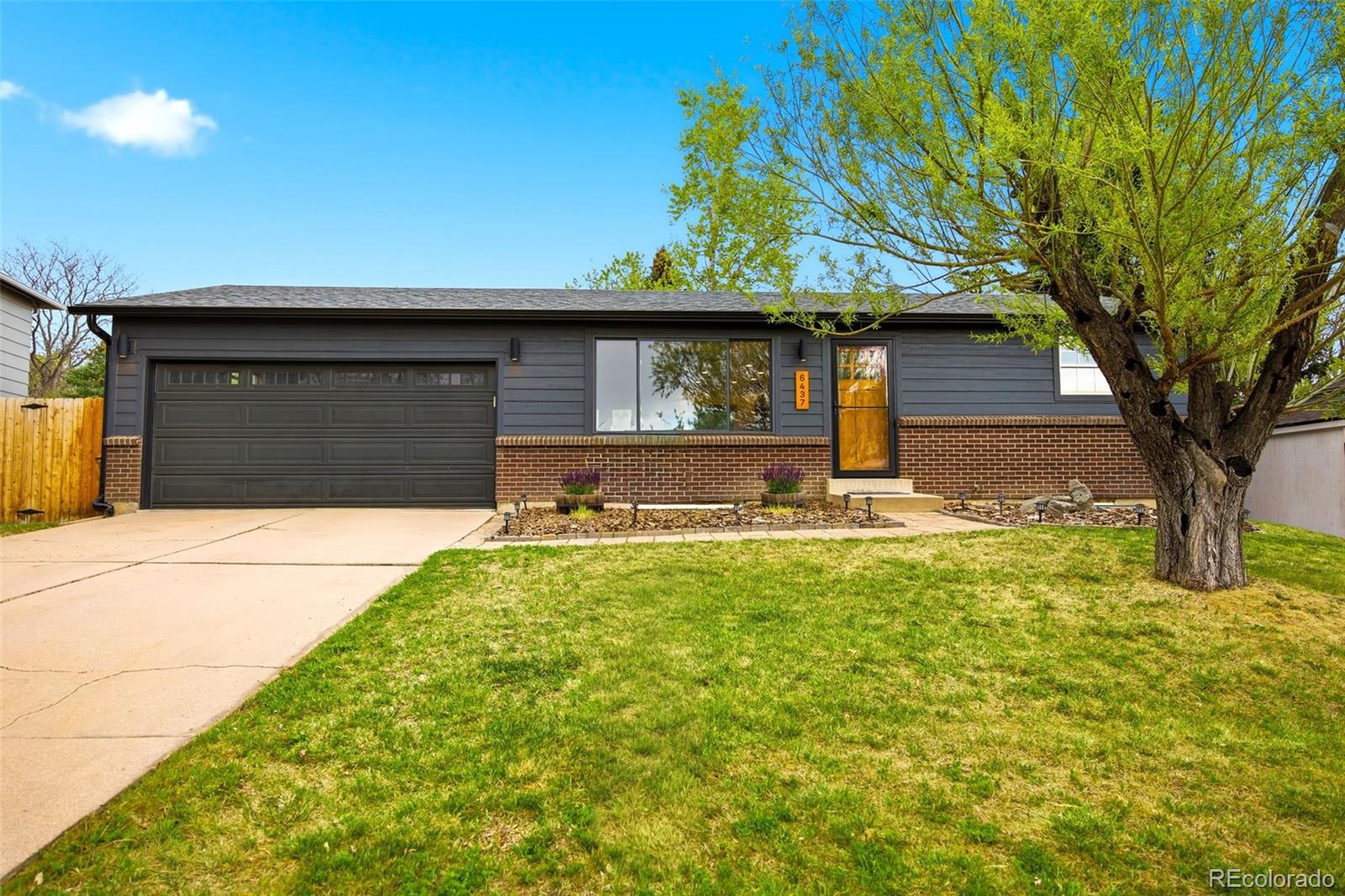 MLS Image #18 for 6437 s dover street,littleton, Colorado