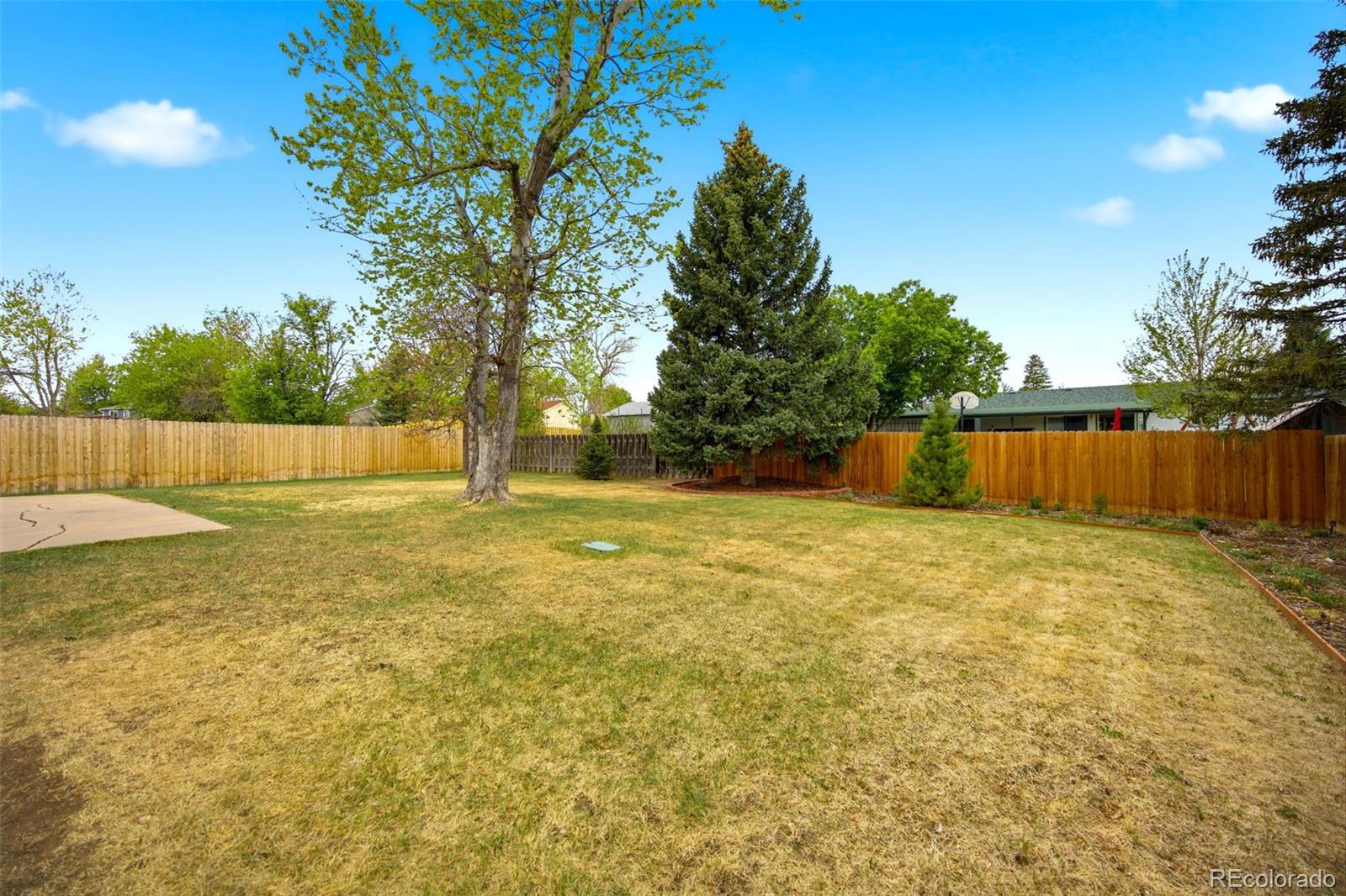 MLS Image #19 for 6437 s dover street,littleton, Colorado