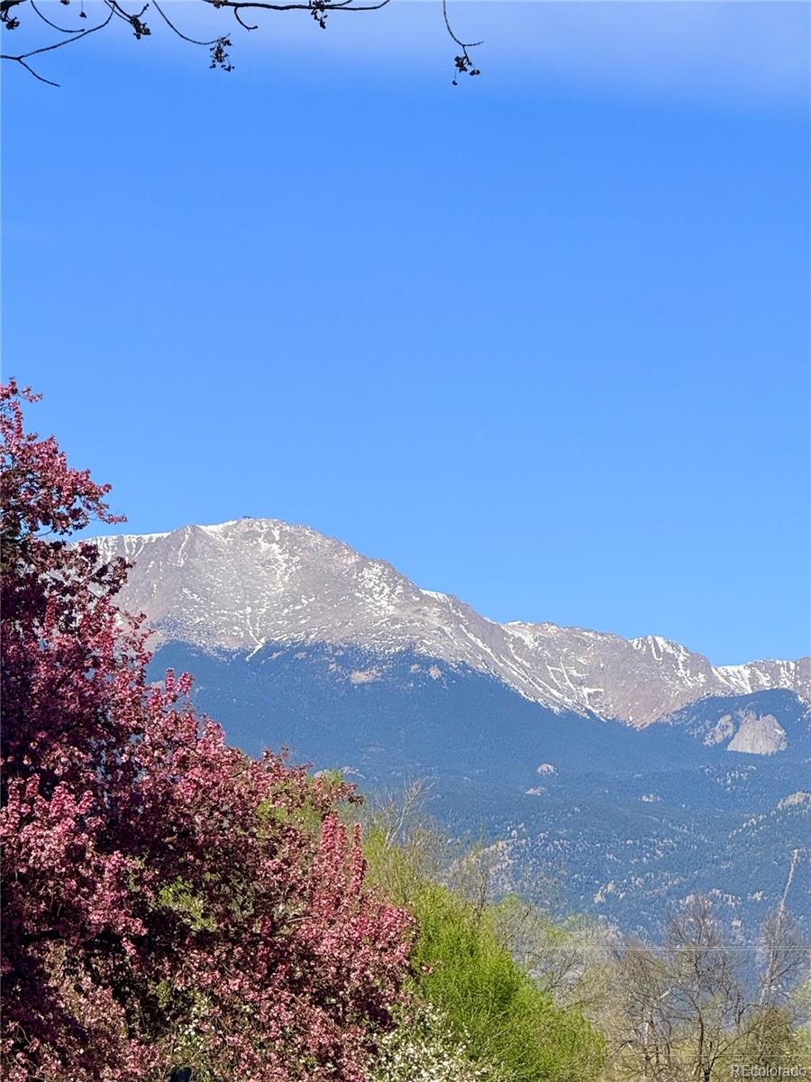 MLS Image #35 for 2450  palmer park boulevard,colorado springs, Colorado