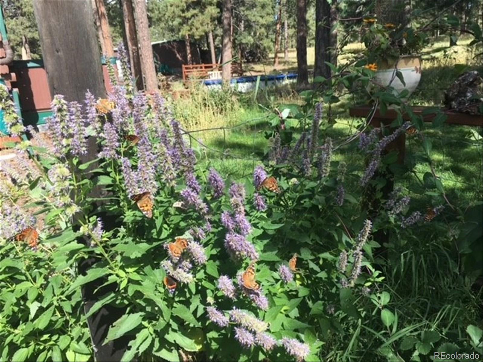 MLS Image #44 for 5030  cedar way,elizabeth, Colorado