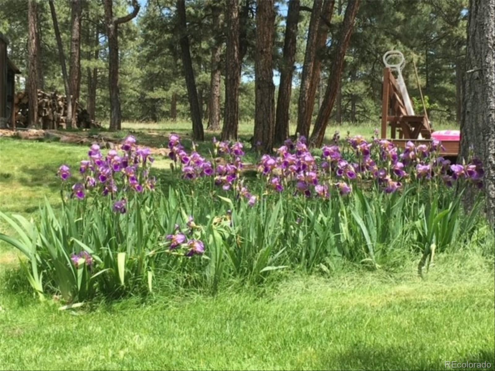 MLS Image #47 for 5030  cedar way,elizabeth, Colorado