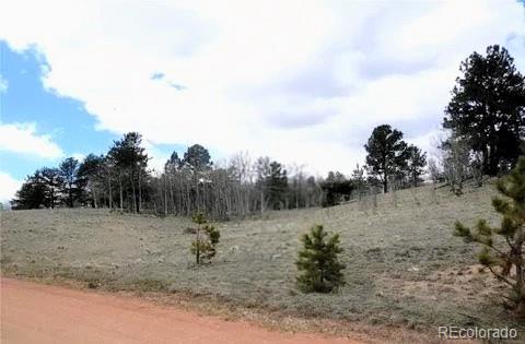 MLS Image #3 for 47  hidden valley ,florissant, Colorado