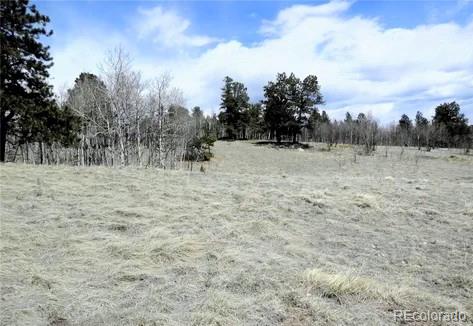 MLS Image #4 for 47  hidden valley ,florissant, Colorado