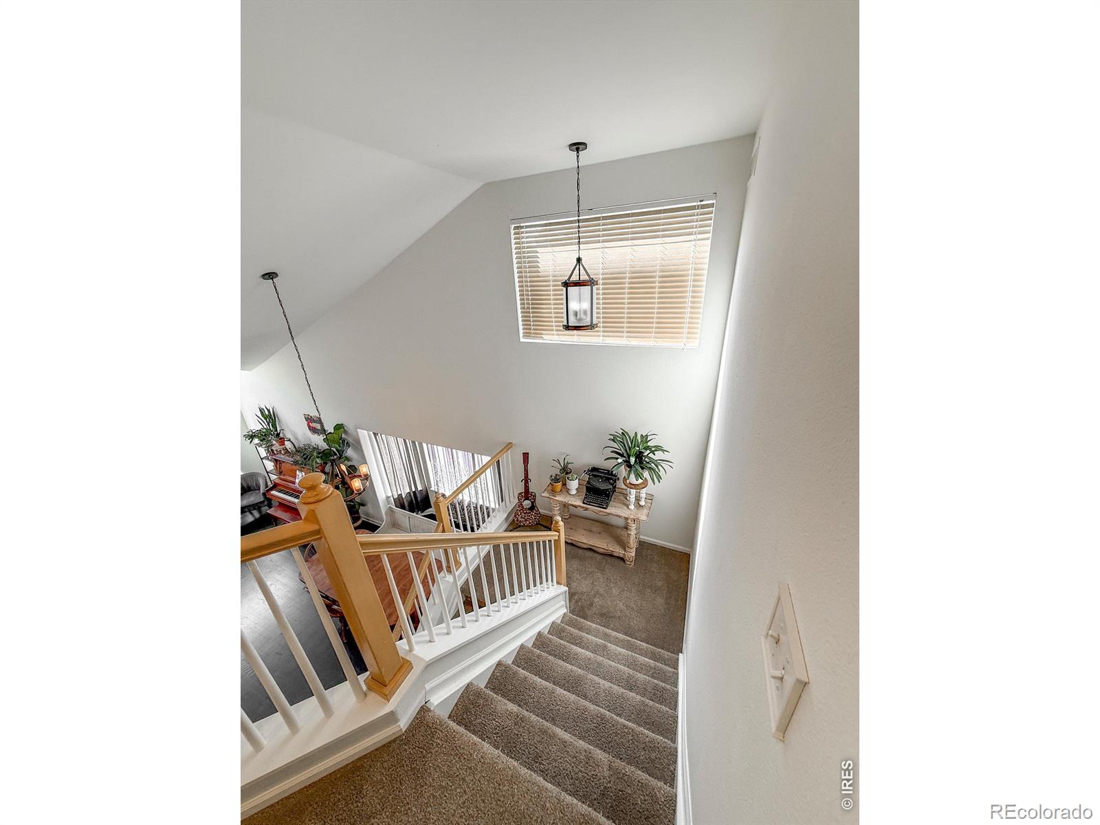 MLS Image #21 for 1233  button rock drive,longmont, Colorado