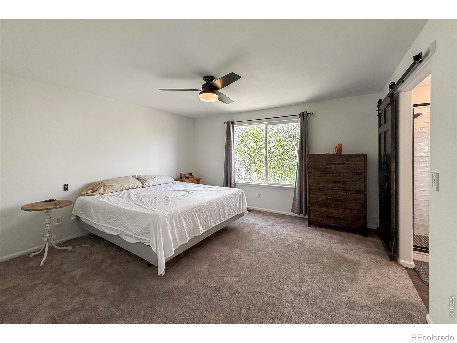 MLS Image #22 for 1233  button rock drive,longmont, Colorado