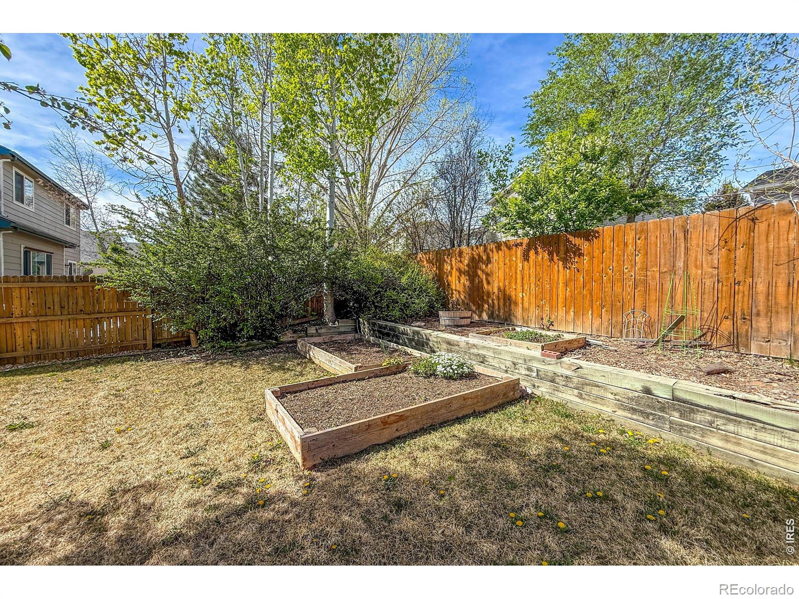 MLS Image #45 for 1233  button rock drive,longmont, Colorado
