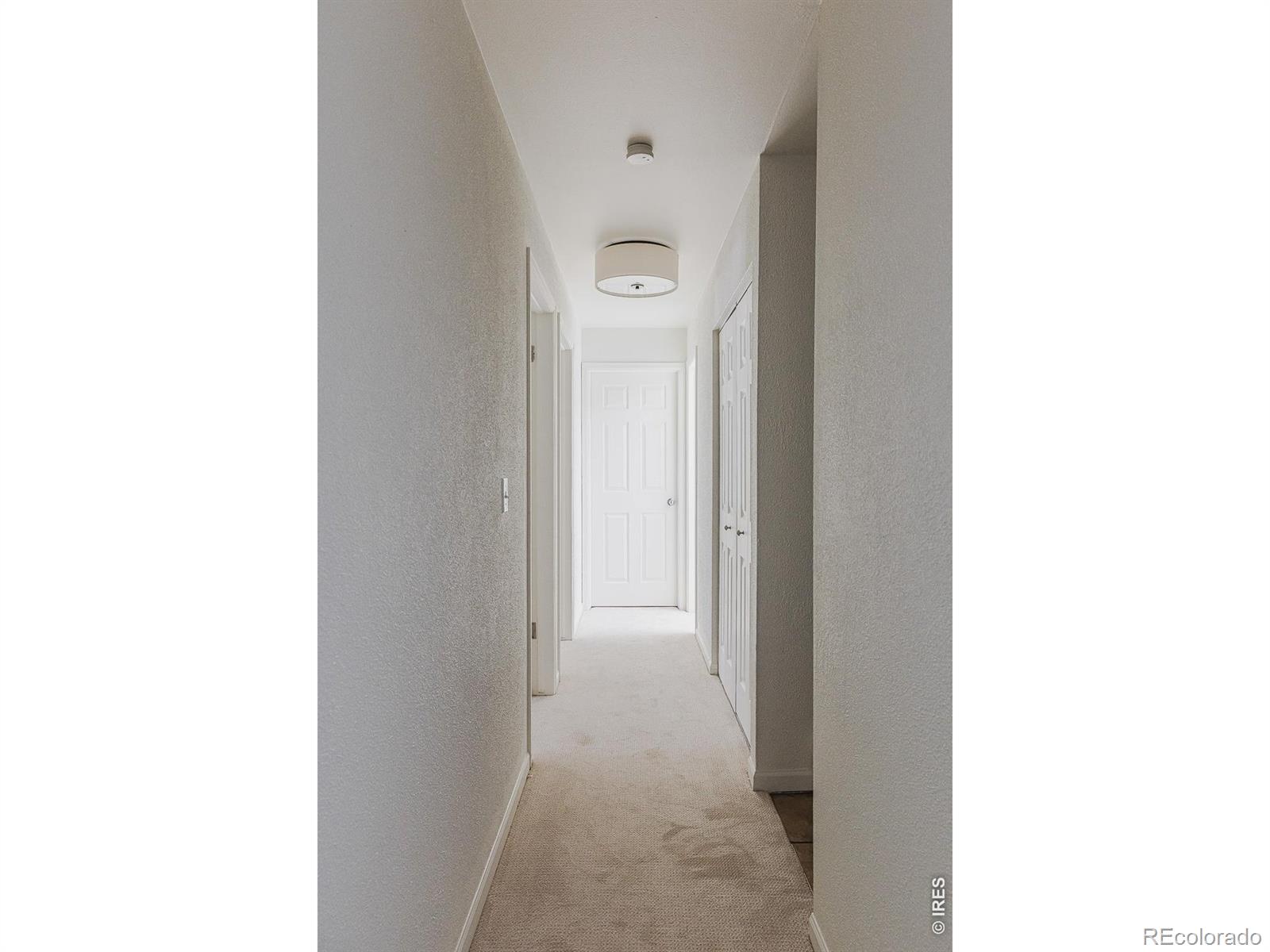 MLS Image #17 for 8050  niwot road,niwot, Colorado