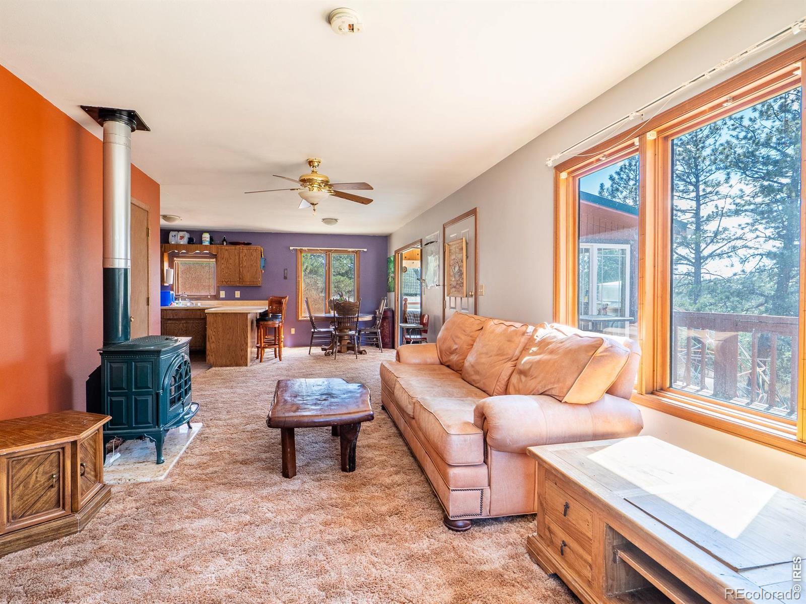 MLS Image #10 for 263  badger court,drake, Colorado