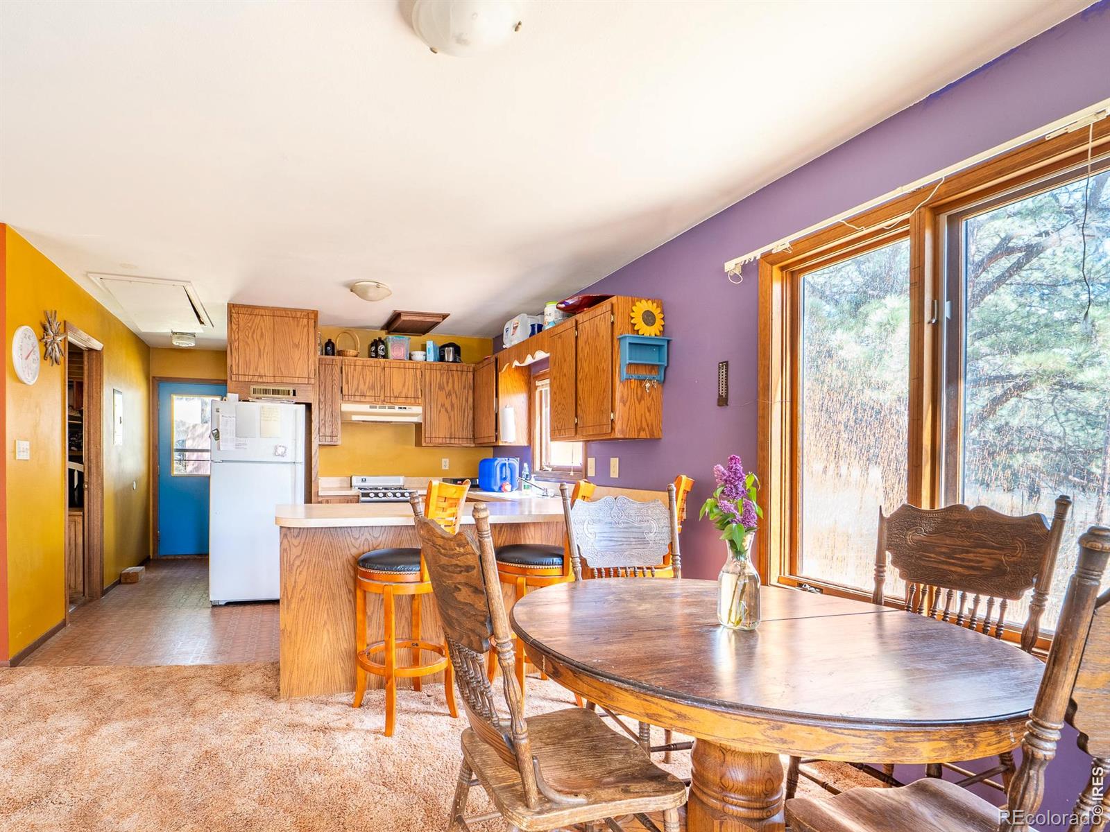 MLS Image #11 for 263  badger court,drake, Colorado