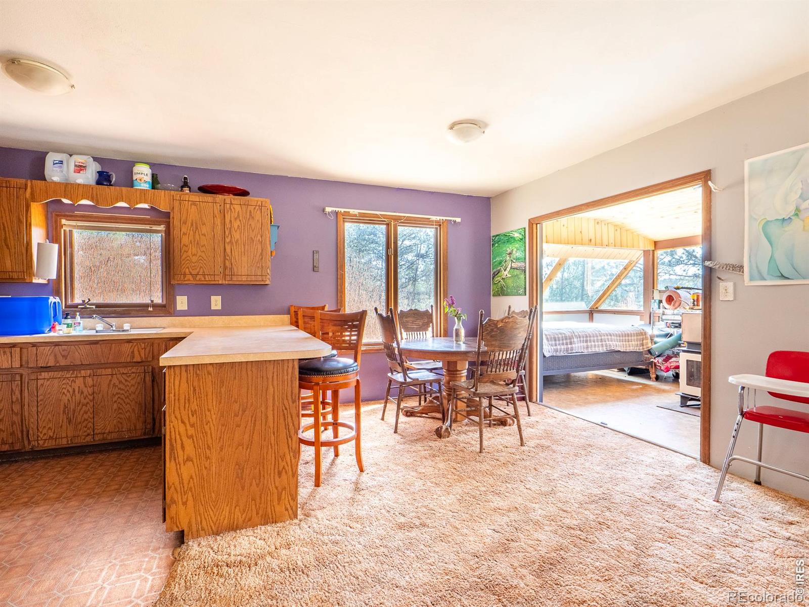 MLS Image #12 for 263  badger court,drake, Colorado