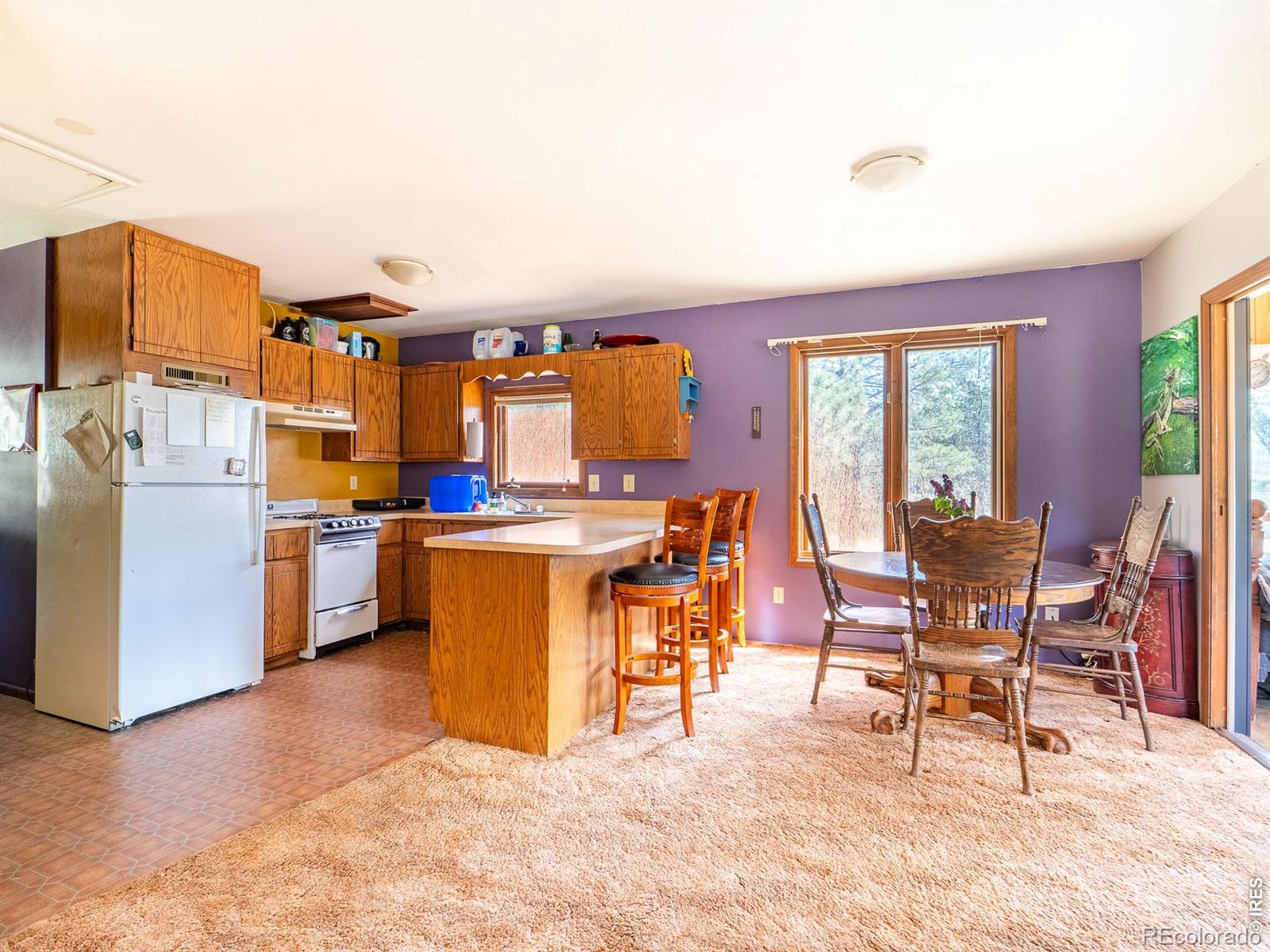 MLS Image #13 for 263  badger court,drake, Colorado