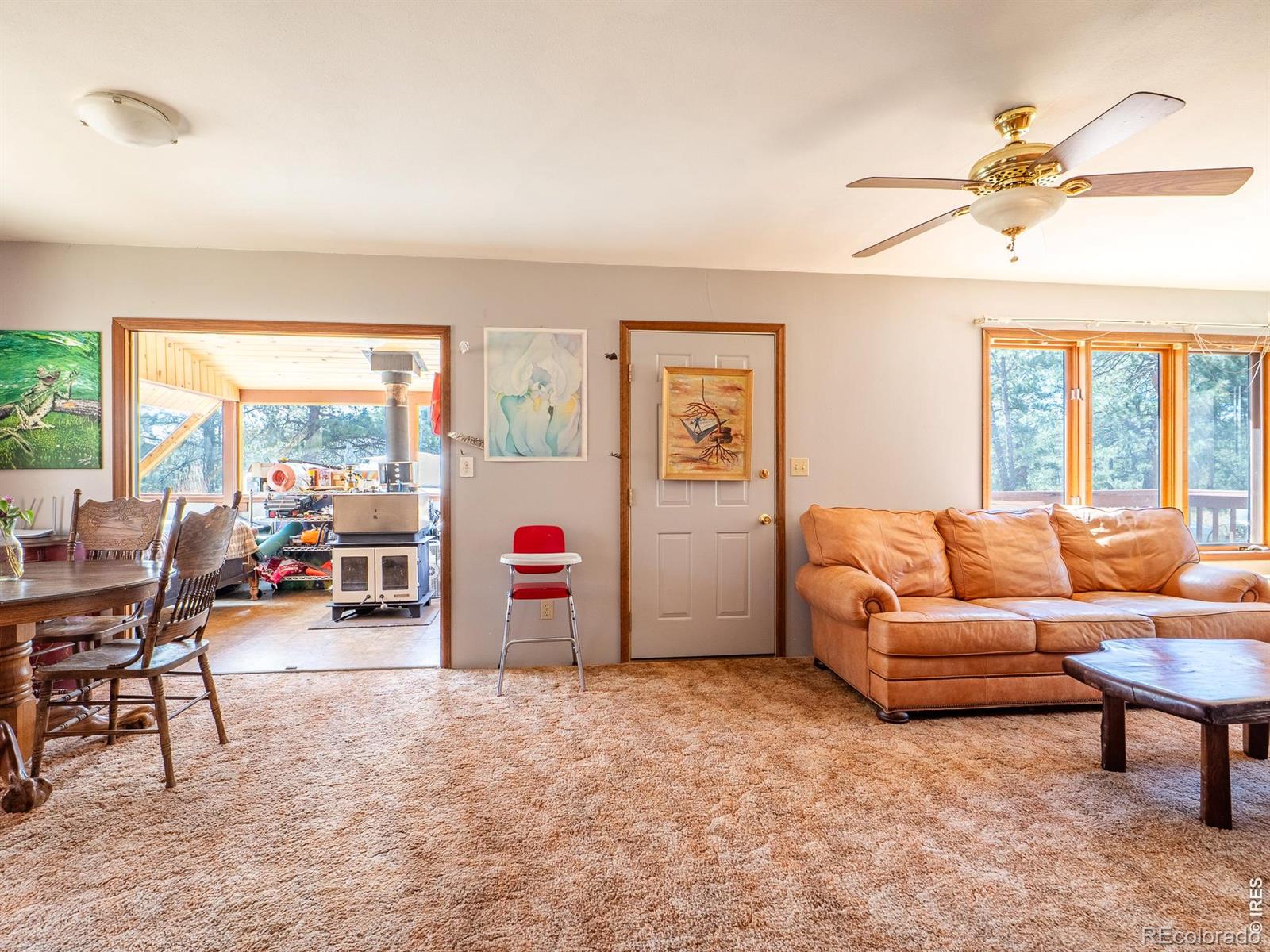 MLS Image #16 for 263  badger court,drake, Colorado