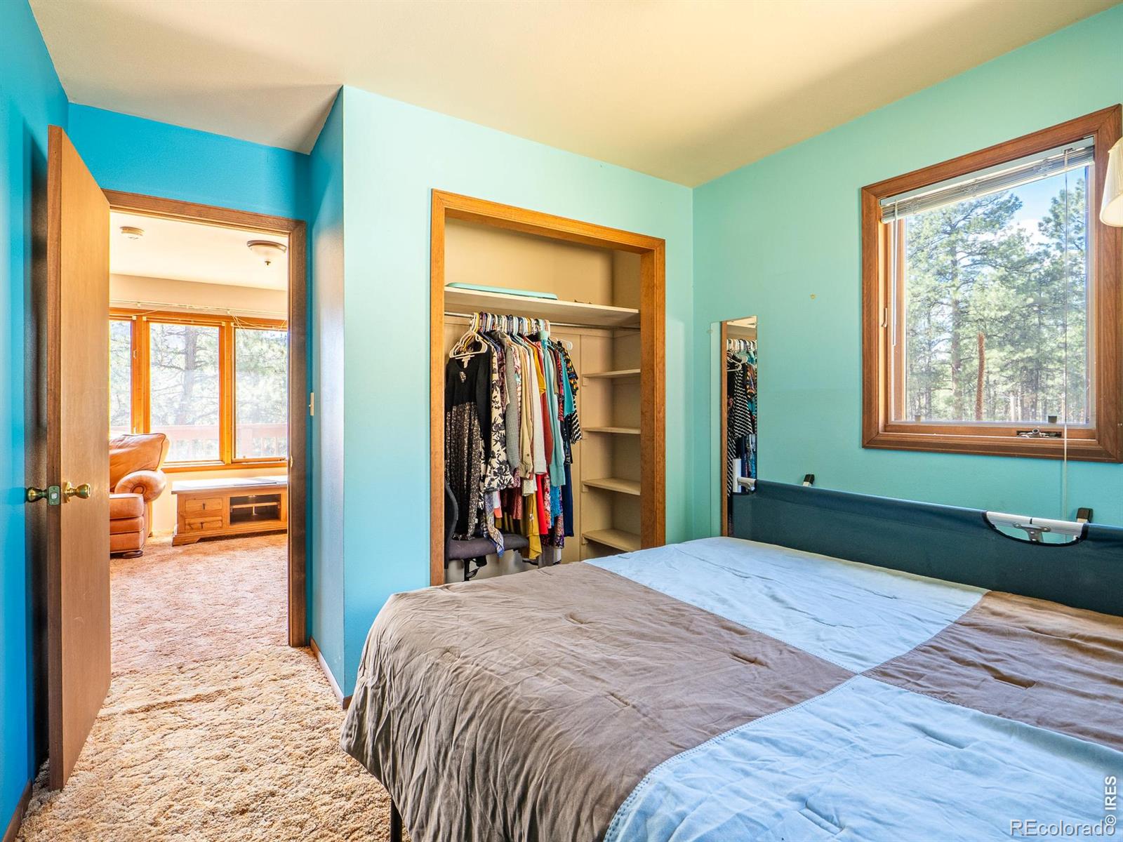 MLS Image #19 for 263  badger court,drake, Colorado