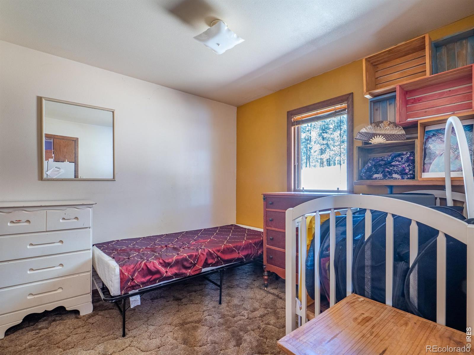 MLS Image #20 for 263  badger court,drake, Colorado