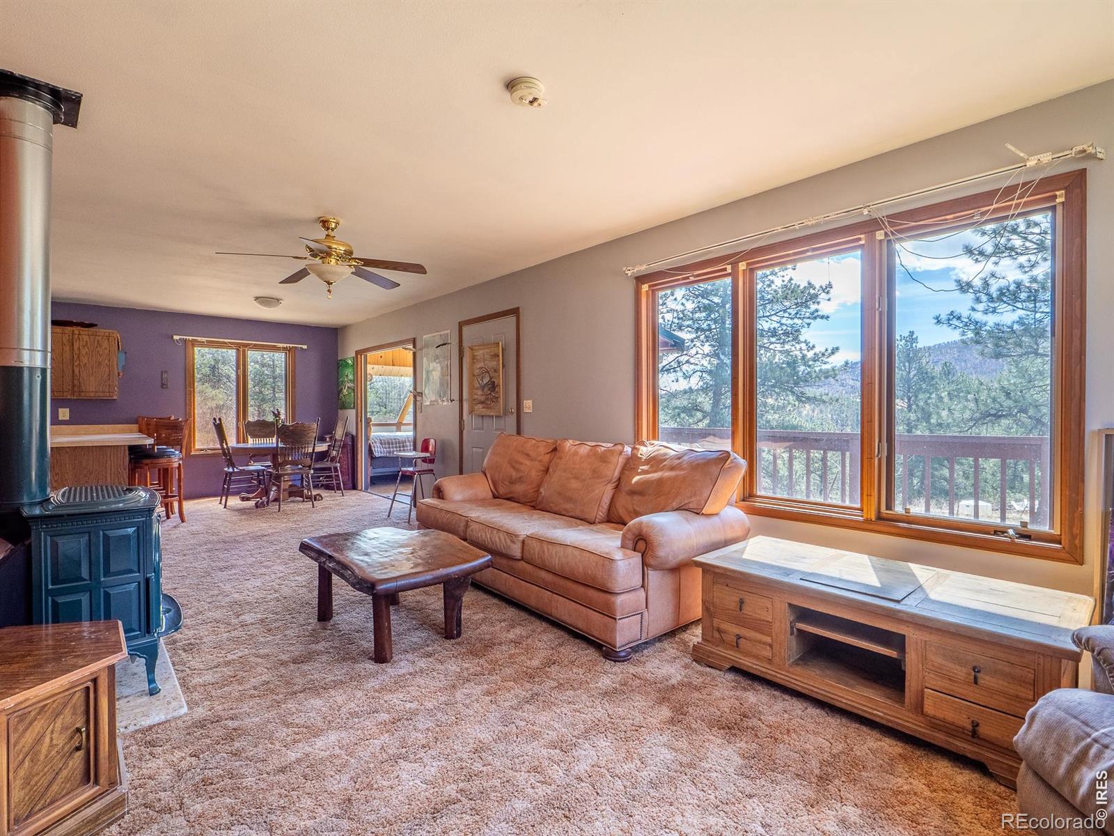 MLS Image #8 for 263  badger court,drake, Colorado