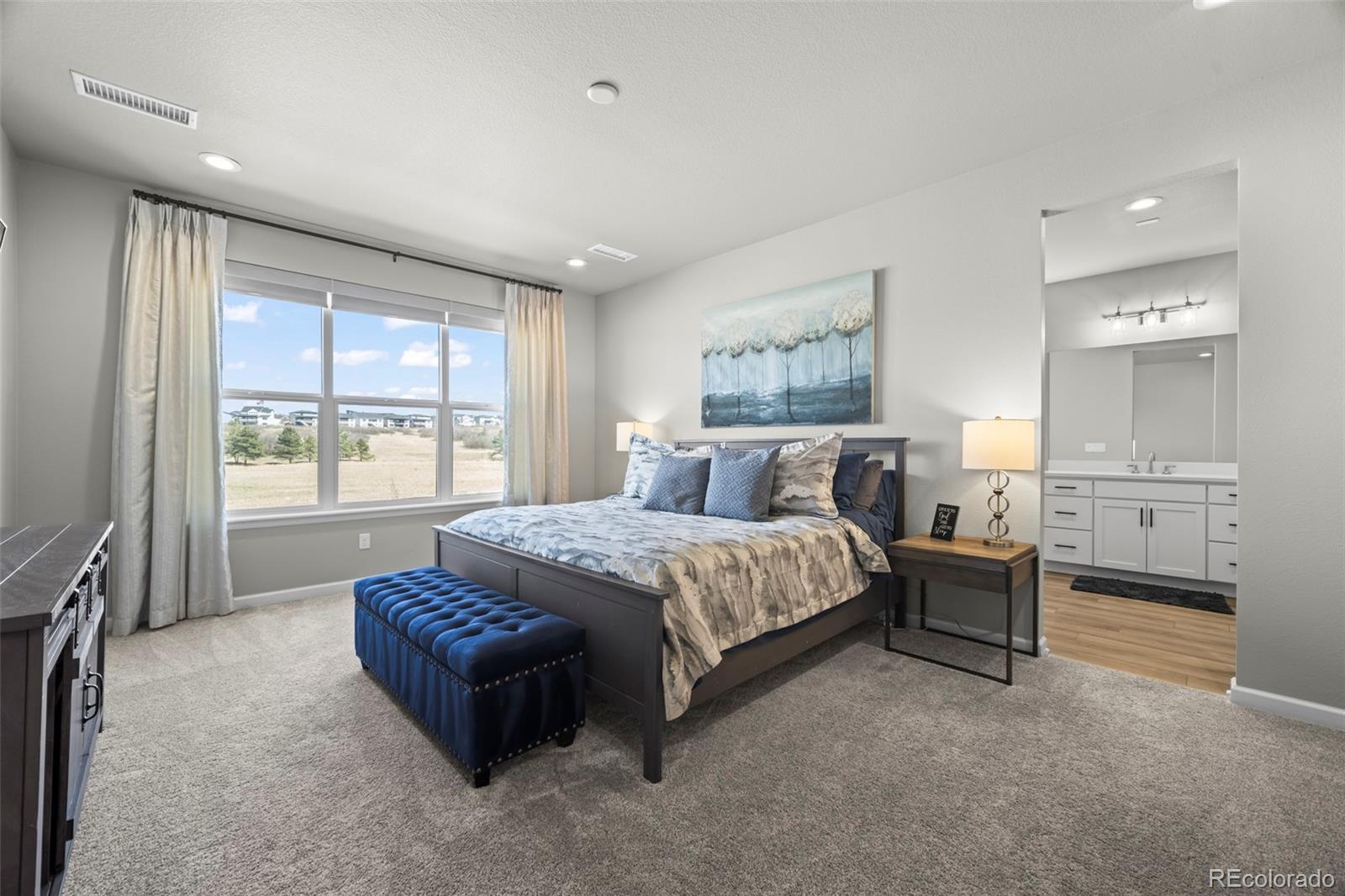 MLS Image #15 for 815  simmental loop,castle rock, Colorado
